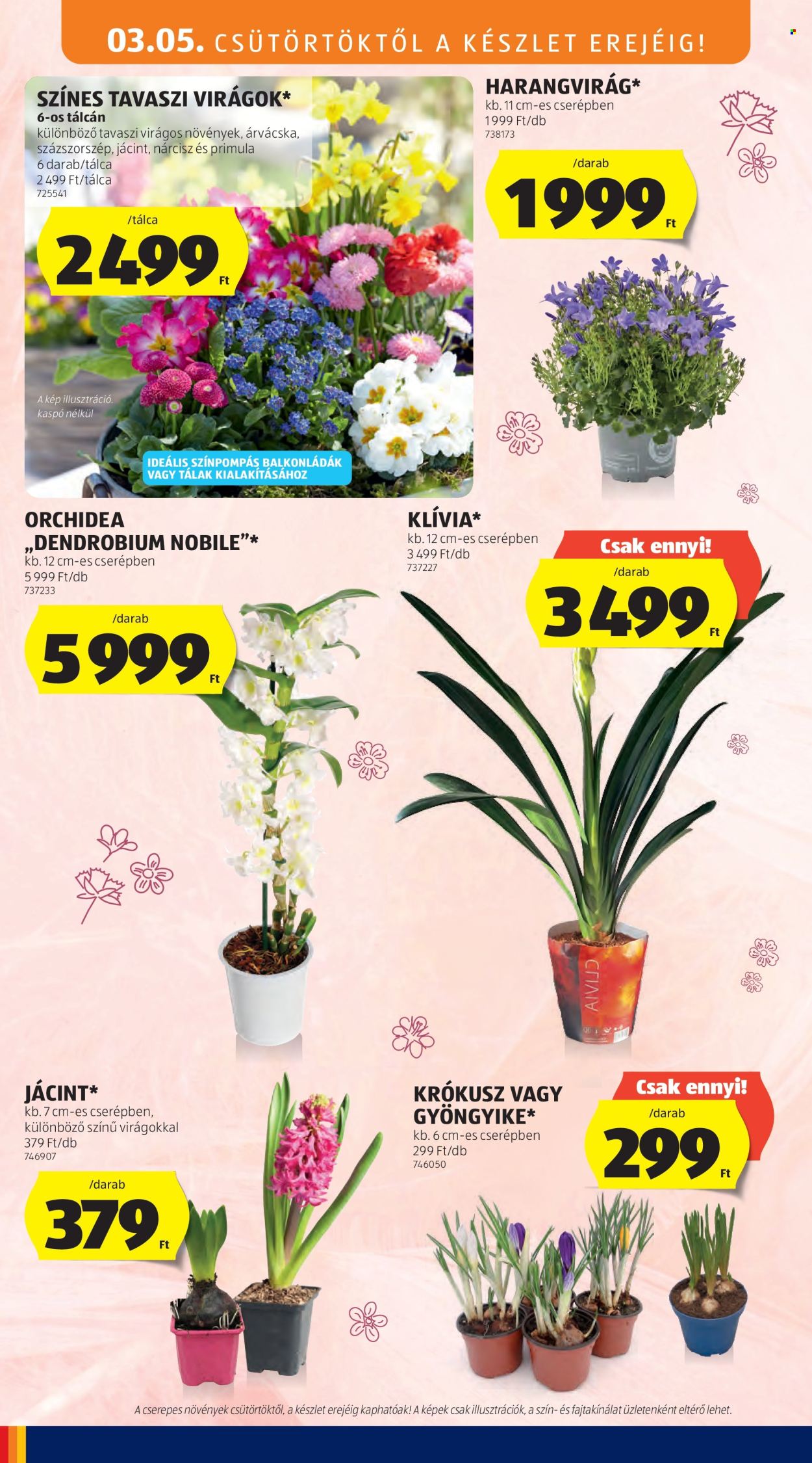 Aldi akciós újságok - 2026.03.05 - 2026.03.11. Oldal 12