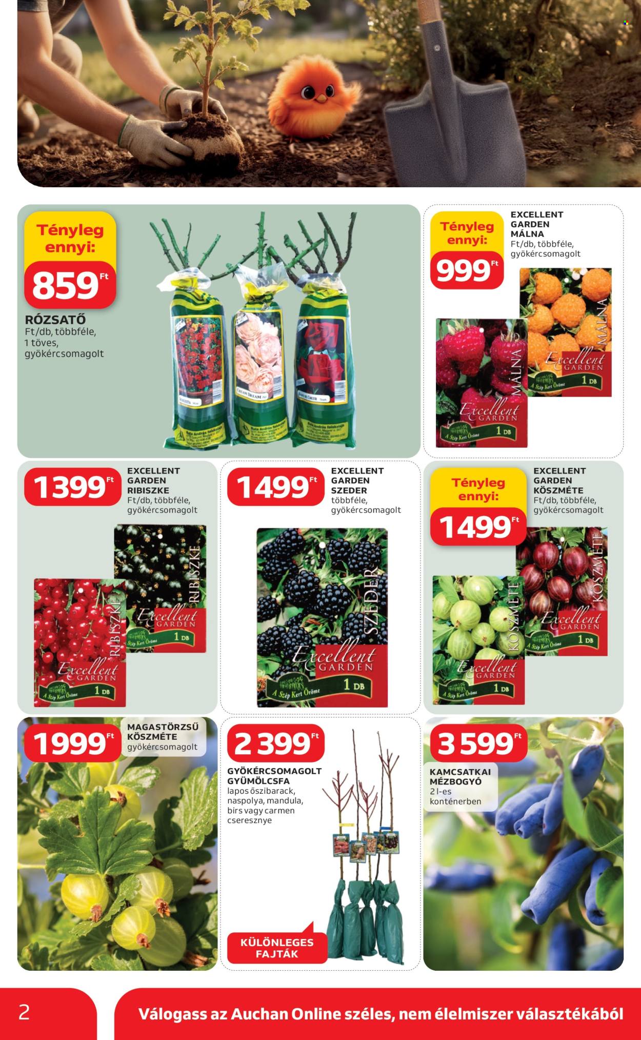 Auchan akciós újságok - 2026.03.05 - 2026.04.04. Oldal 2