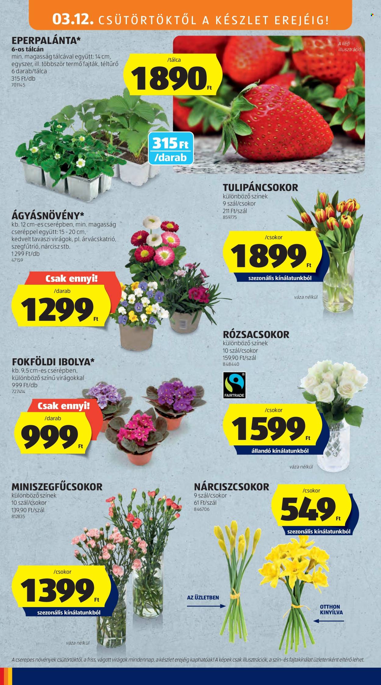 Aldi akciós újságok - 2026.03.12 - 2026.03.18. Oldal 48