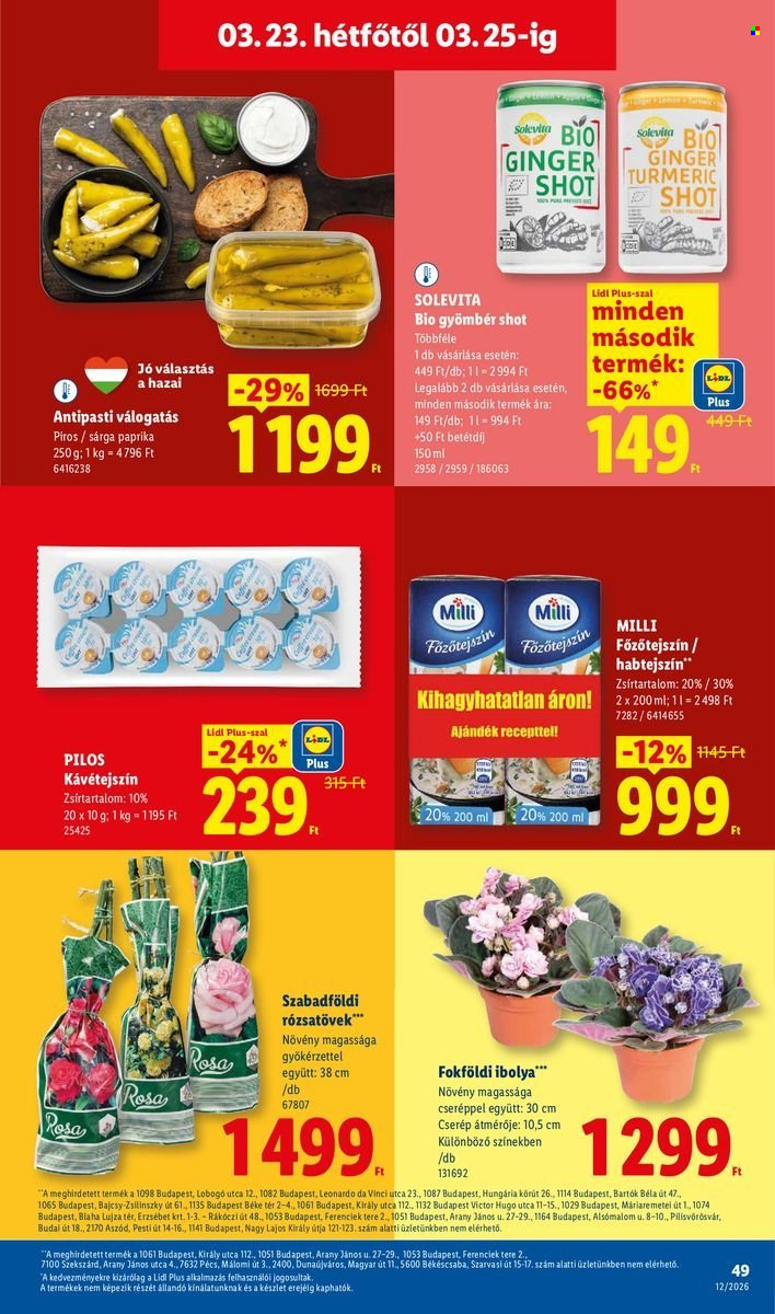 Lidl akciós újságok - 2026.03.19 - 2026.03.25. Oldal 49