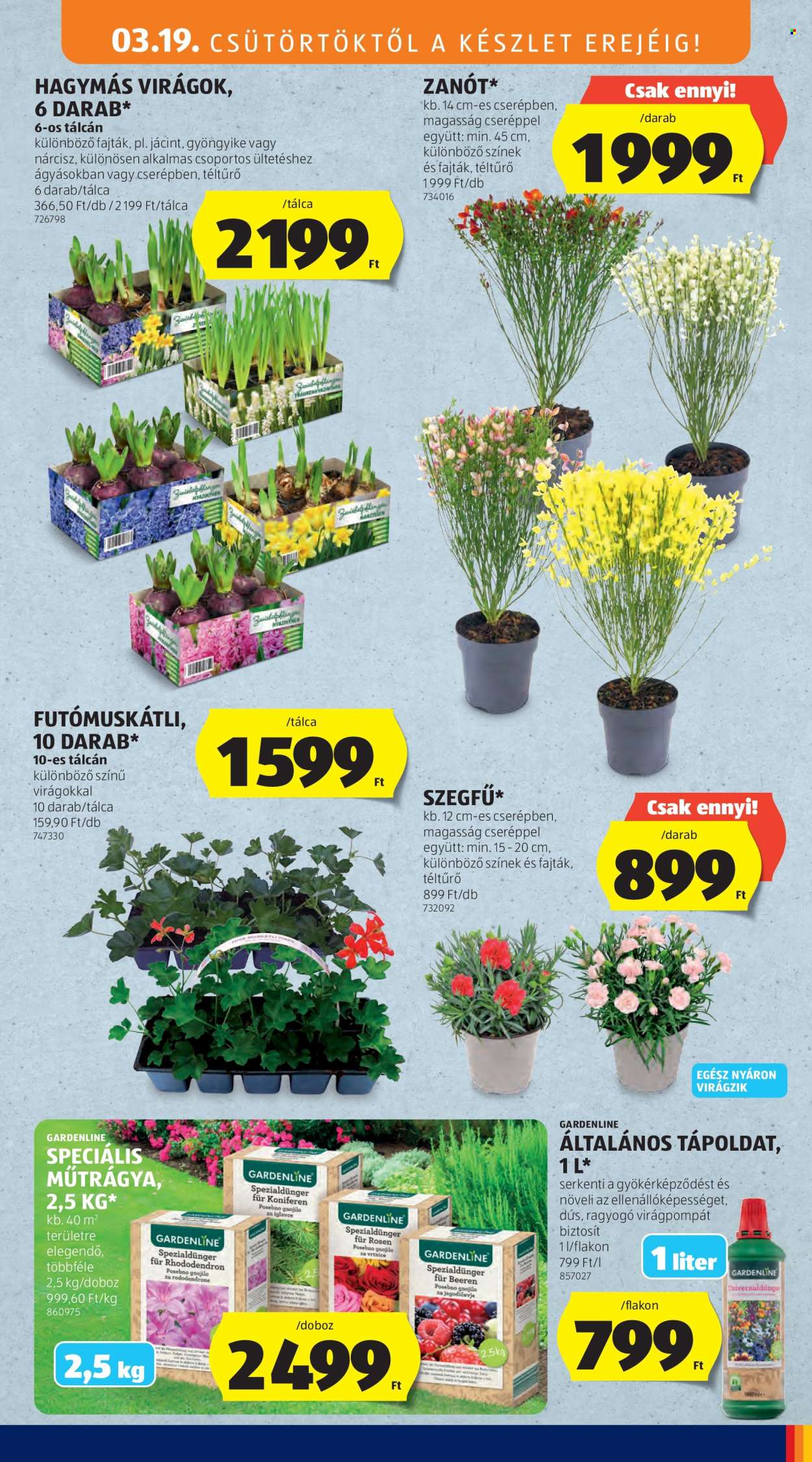 Aldi akciós újságok - 2026.03.19 - 2026.03.25. Oldal 11