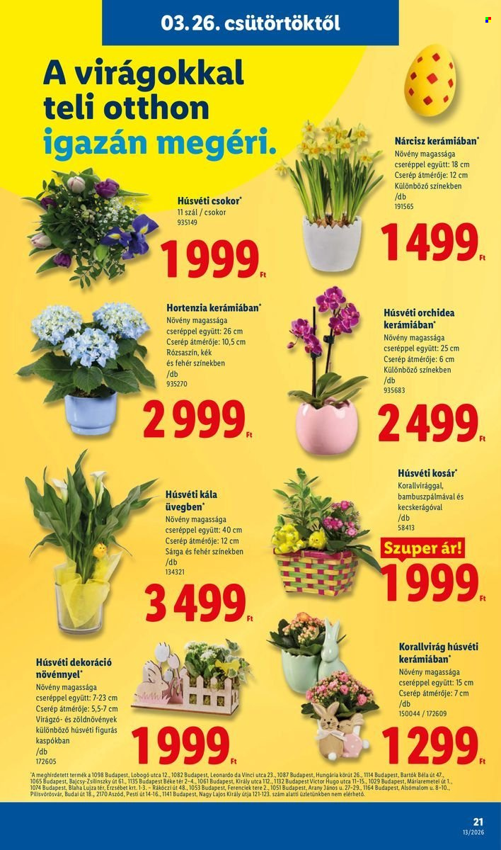 Lidl akciós újságok - 2026.03.26 - 2026.04.01. Oldal 21