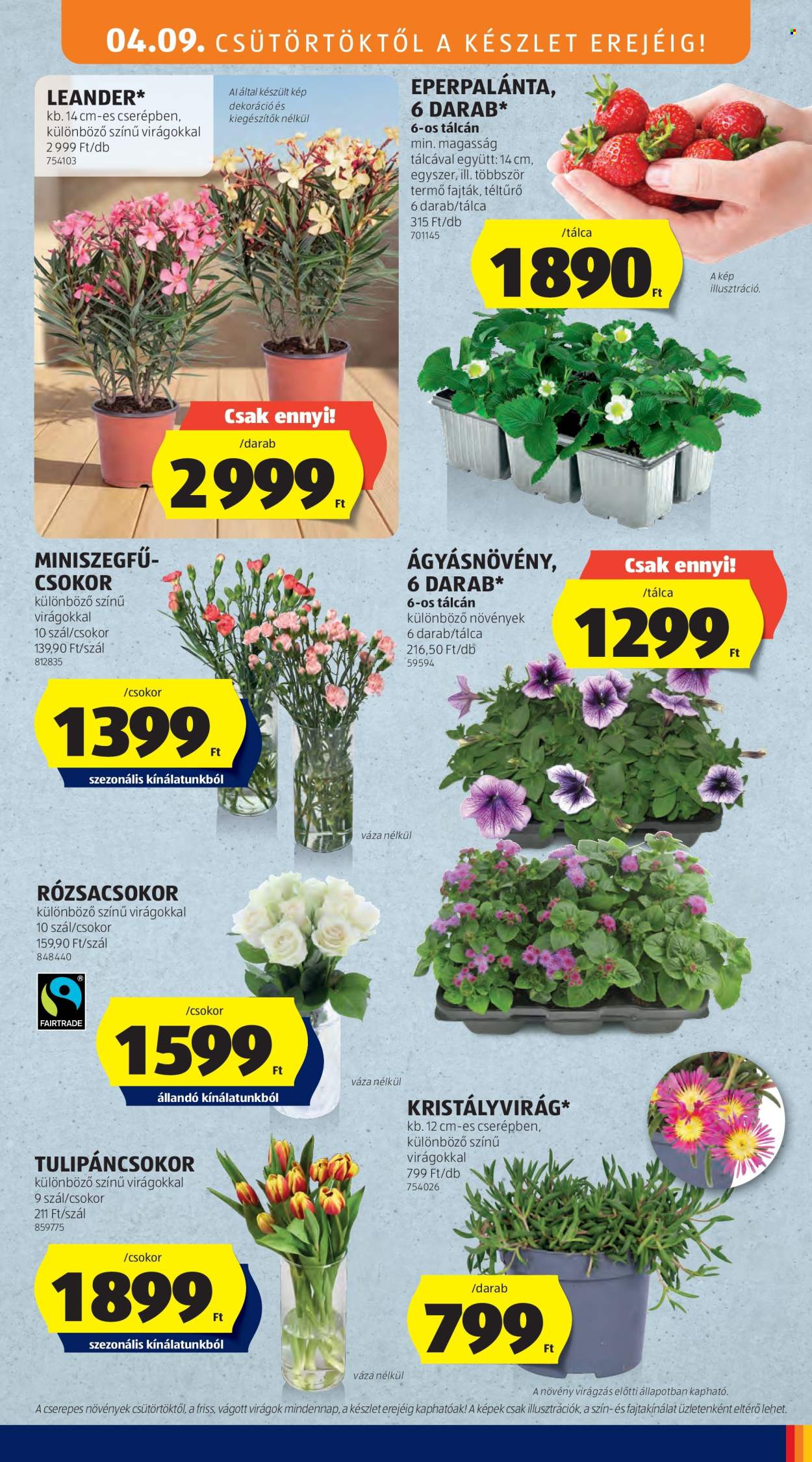 Aldi akciós újságok - 2026.04.09 - 2026.04.15. Oldal 5