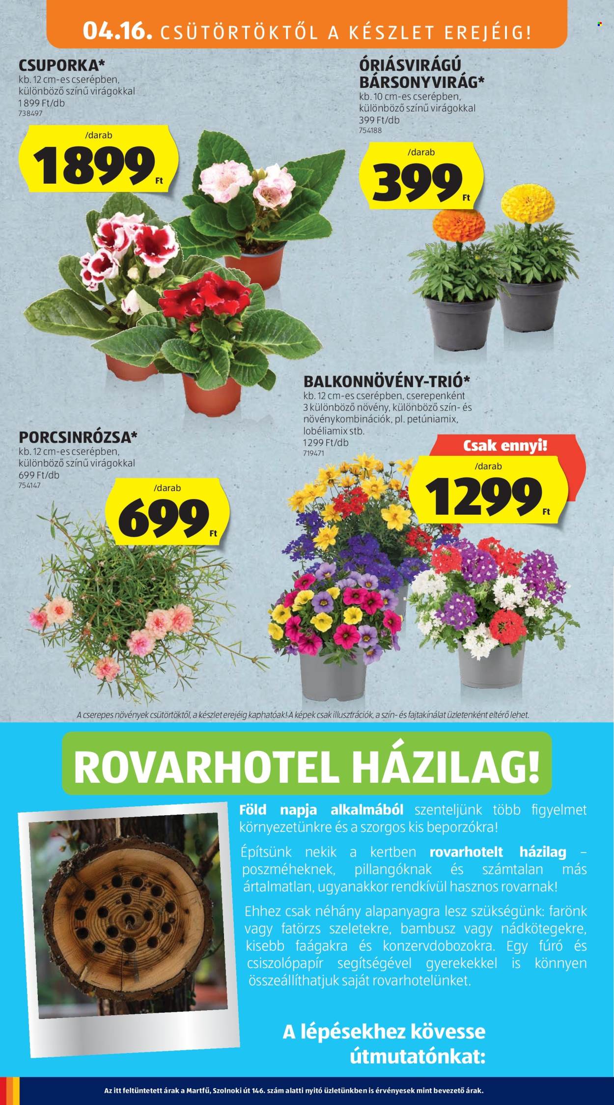 Aldi akciós újságok - 2026.04.16 - 2026.04.22. Oldal 8