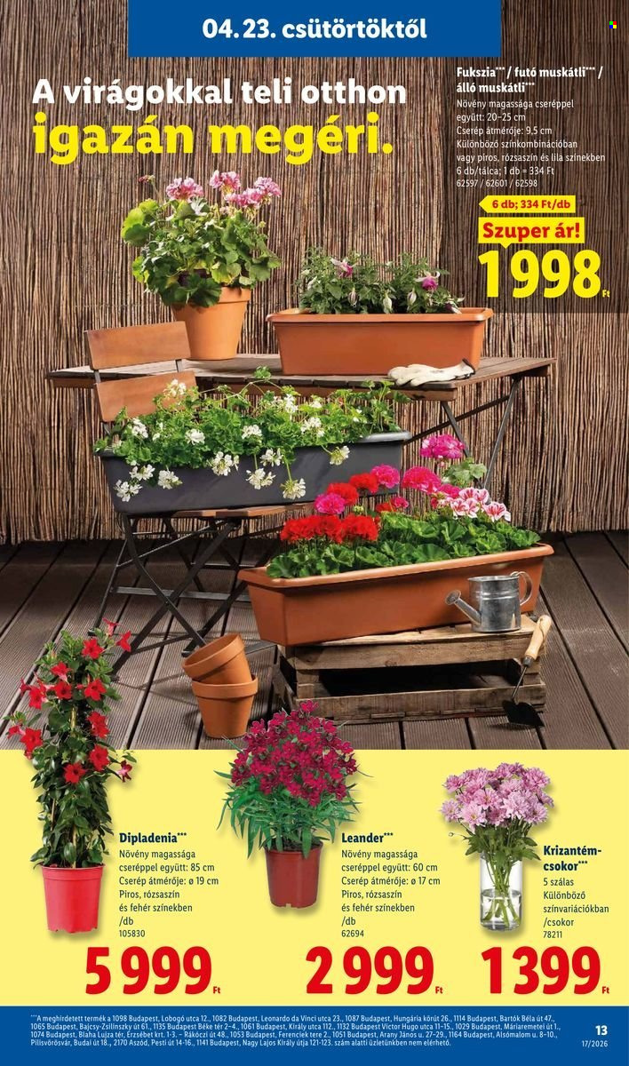 Lidl akciós újságok - 2026.04.23 - 2026.04.29. Oldal 13