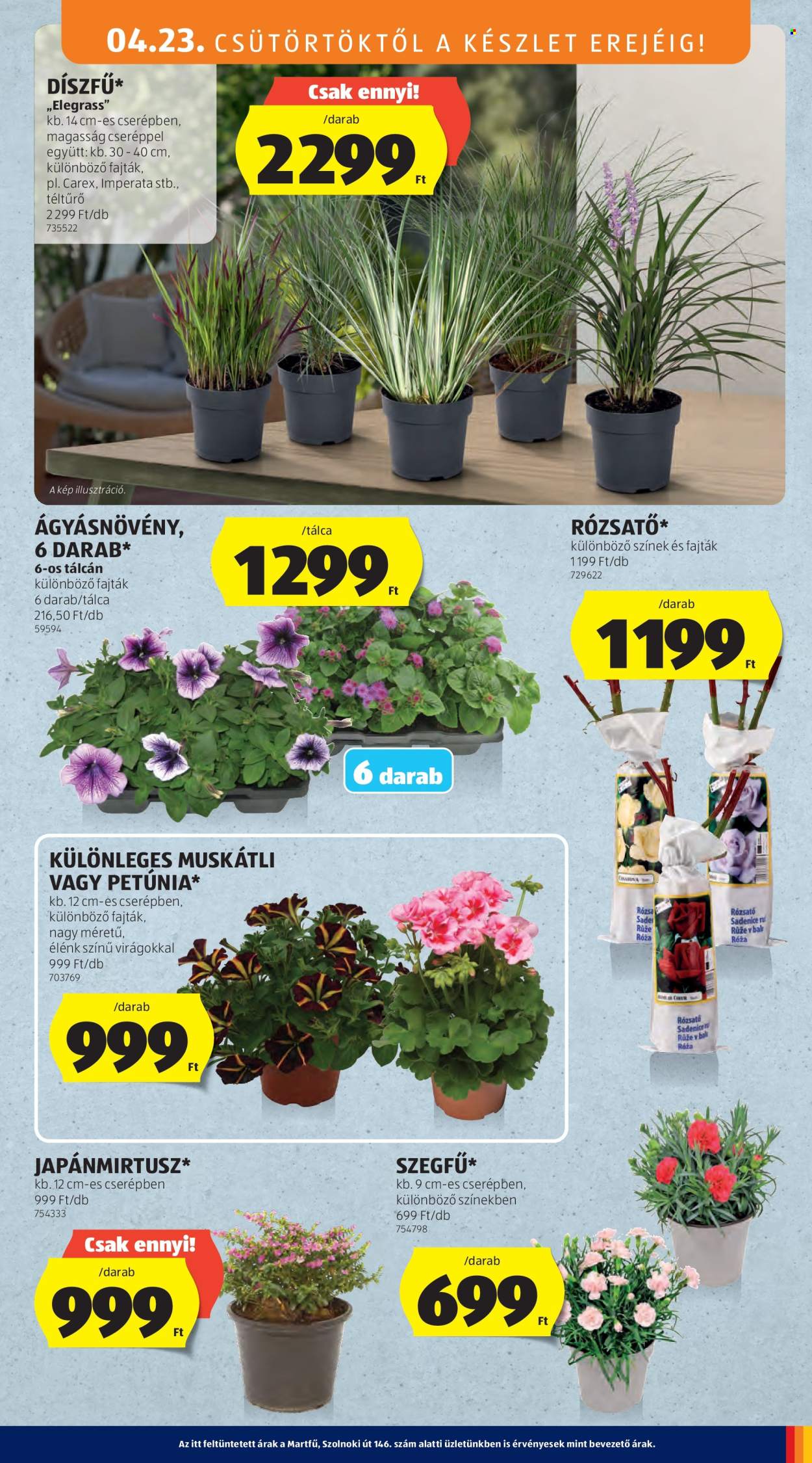 Aldi akciós újságok - 2026.04.23 - 2026.04.29. Oldal 31