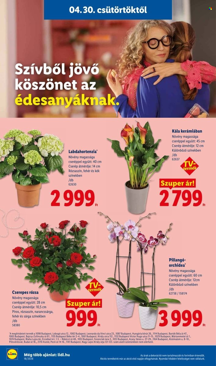 Lidl akciós újságok - 2026.04.30 - 2026.05.06. Oldal 20
