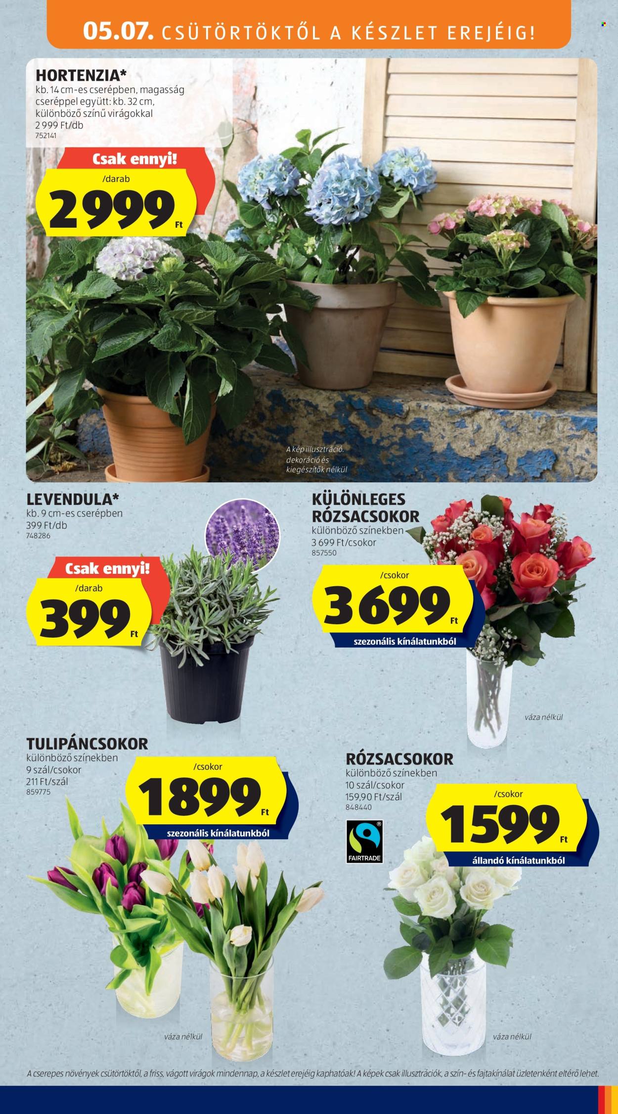 Aldi akciós újságok - 2026.05.07 - 2026.05.13. Oldal 5