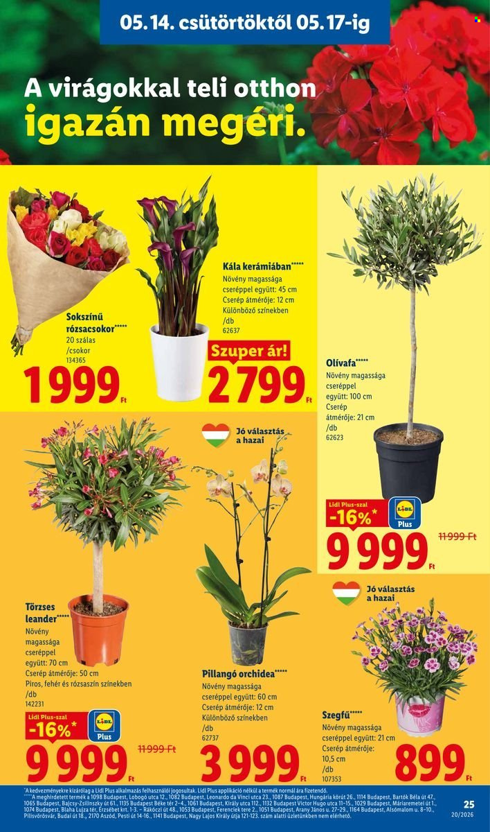 Lidl akciós újságok - 2026.05.14 - 2026.05.20. Oldal 25