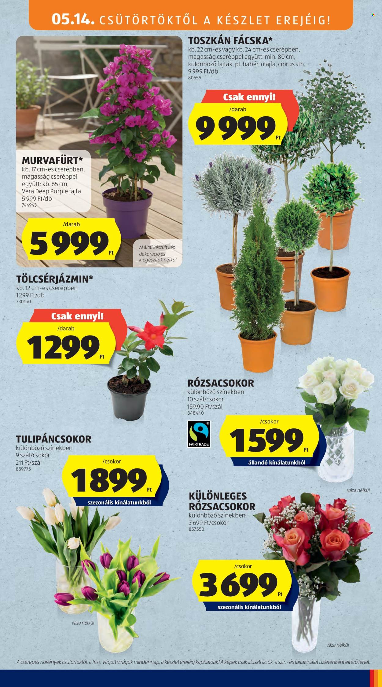 Aldi akciós újságok - 2026.05.14 - 2026.05.20. Oldal 29