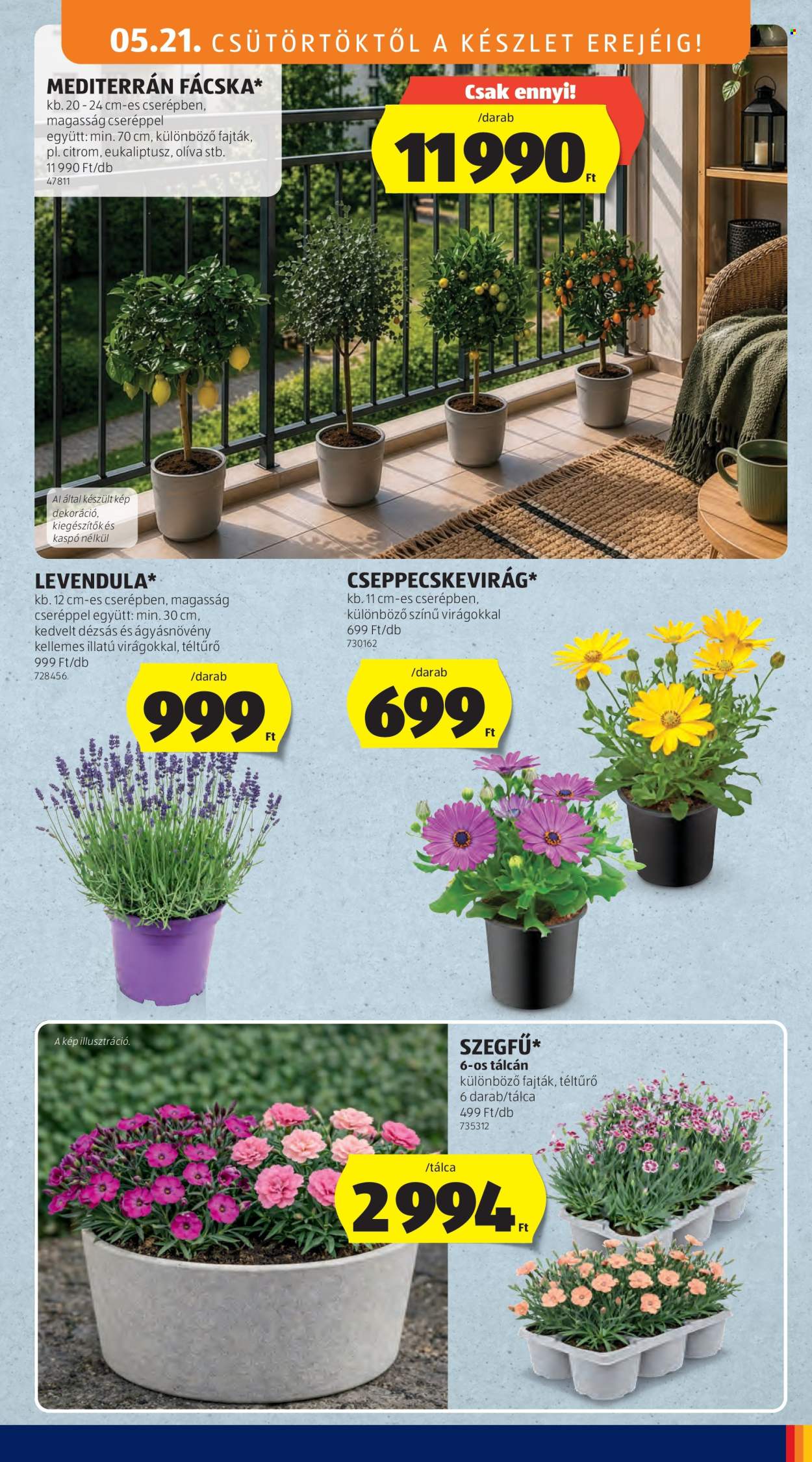 Aldi akciós újságok - 2026.05.21 - 2026.05.27. Oldal 29
