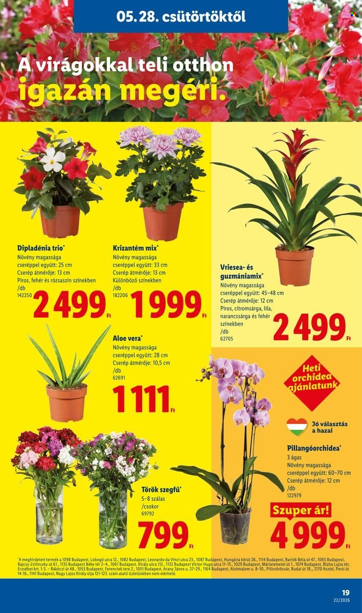 Lidl akciós újságok - 2026.05.28 - 2026.06.03. Oldal 19