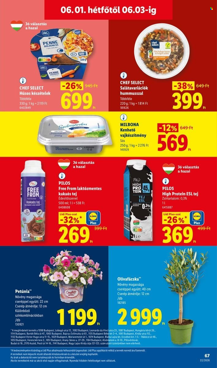Lidl akciós újságok - 2026.05.28 - 2026.06.03. Oldal 67
