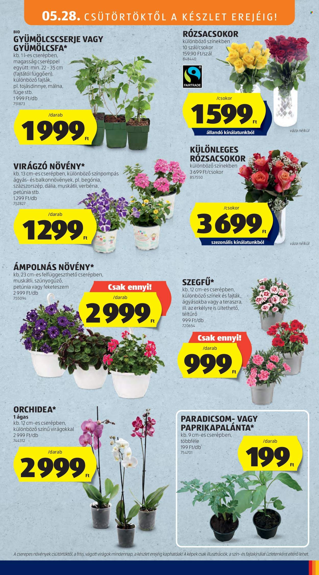 Aldi akciós újságok - 2026.05.28 - 2026.06.03. Oldal 33