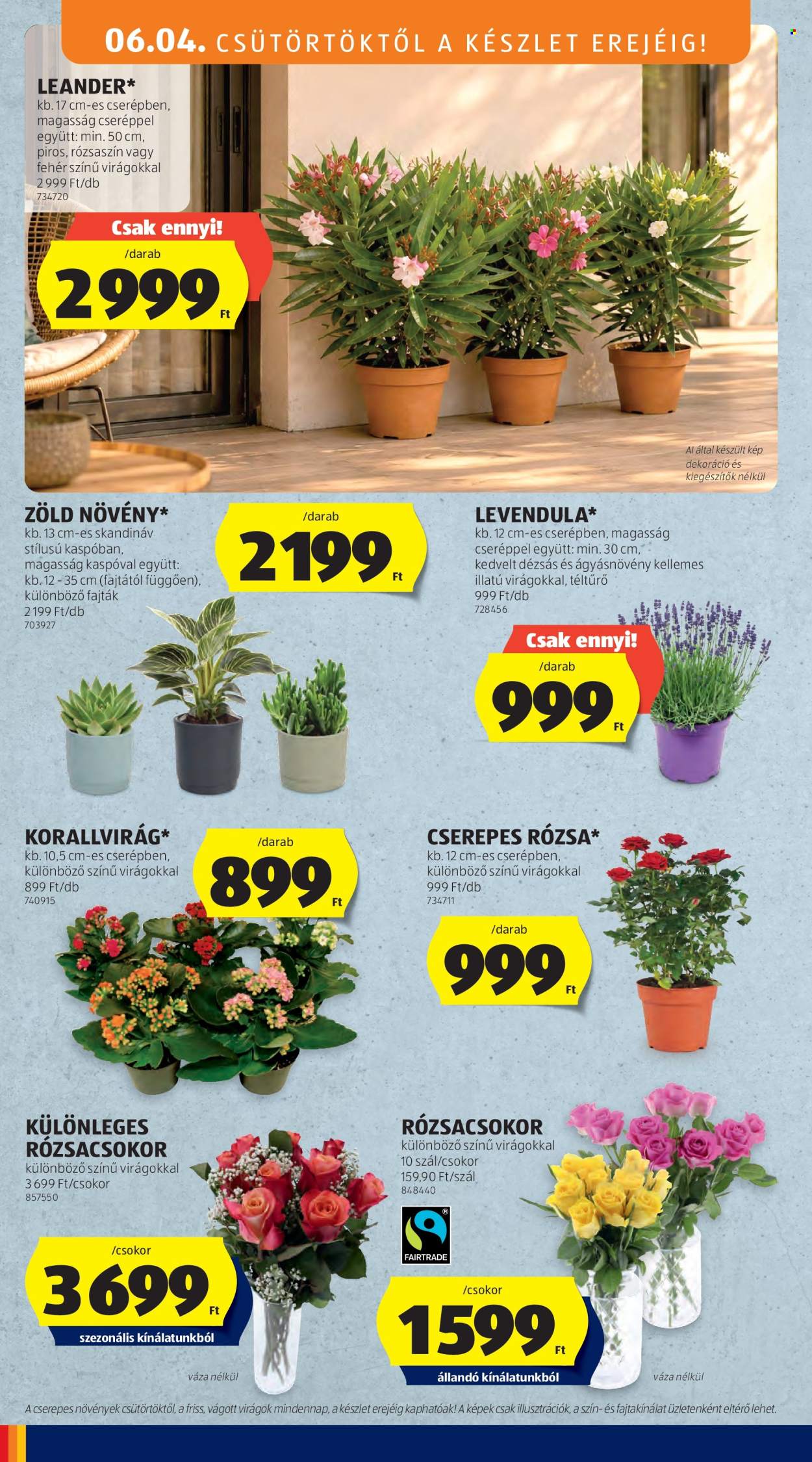 Aldi akciós újságok - 2026.06.04 - 2026.06.10. Oldal 12