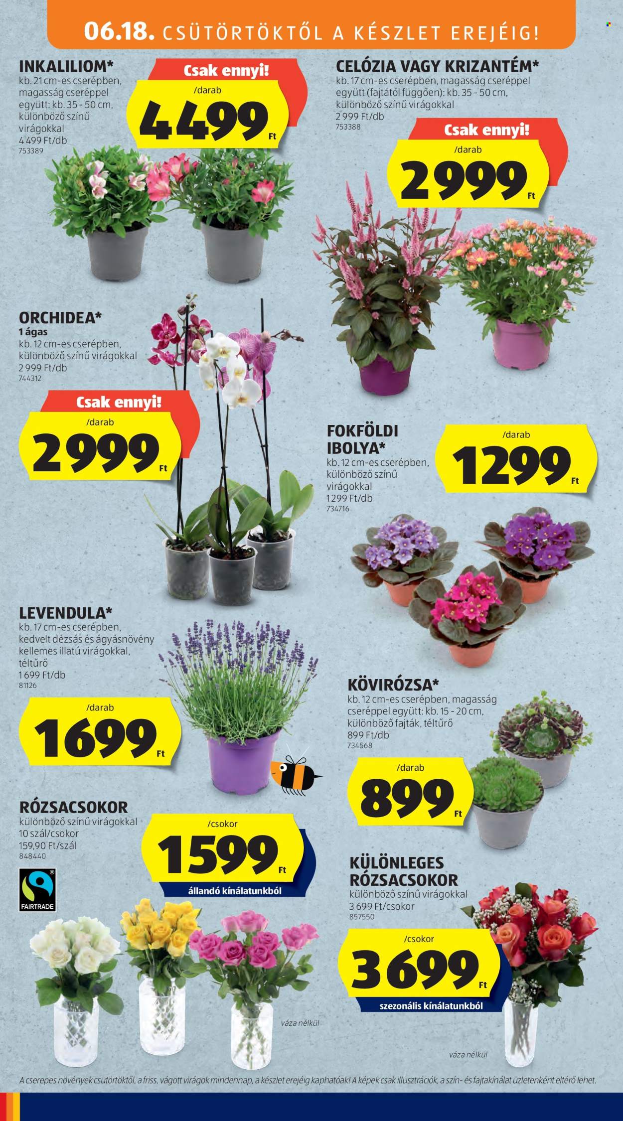 Aldi akciós újságok - 2026.06.18 - 2026.06.24. Oldal 34