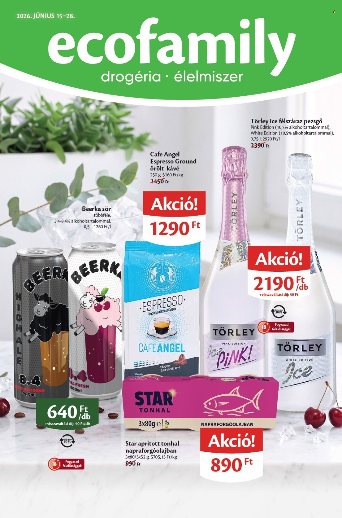 EcoFamily akciós újságok - 2026.06.15 - 2026.06.28. Oldal 1