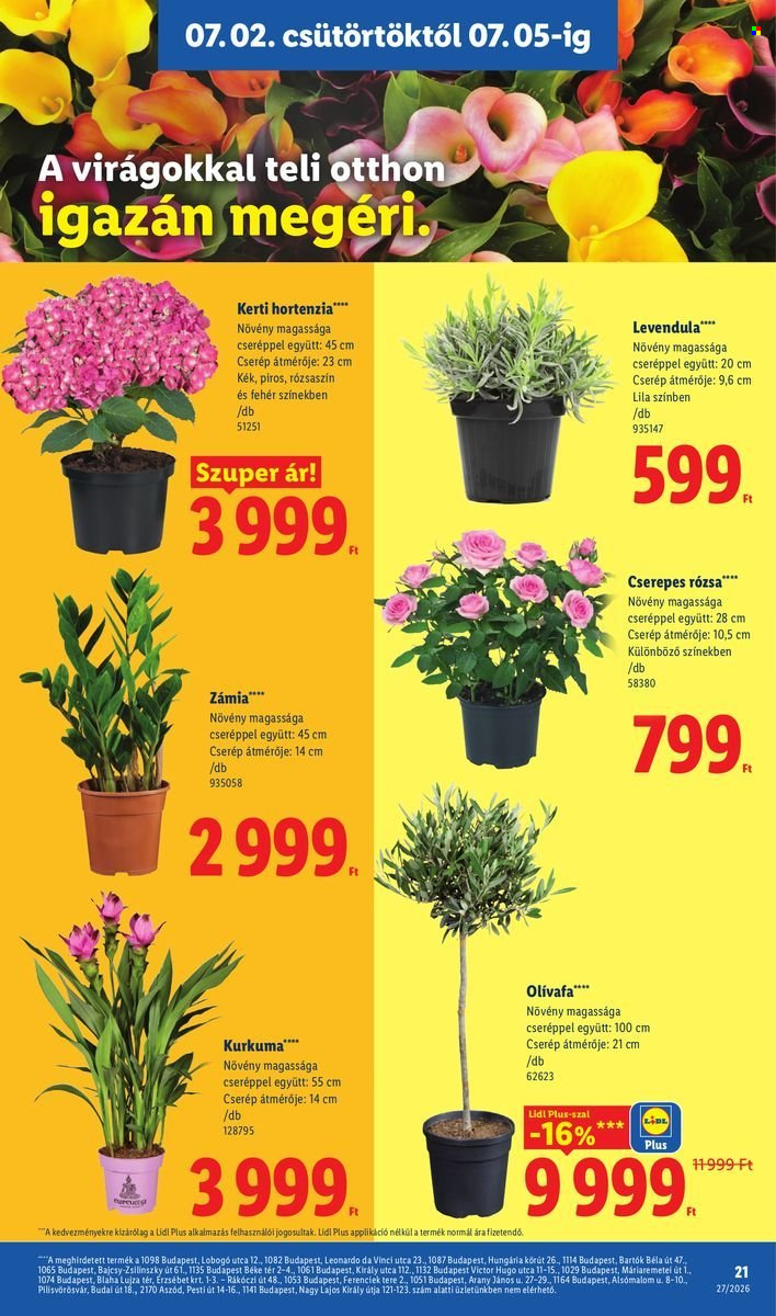 Lidl akciós újságok - 2026.07.02 - 2026.07.08. Oldal 21