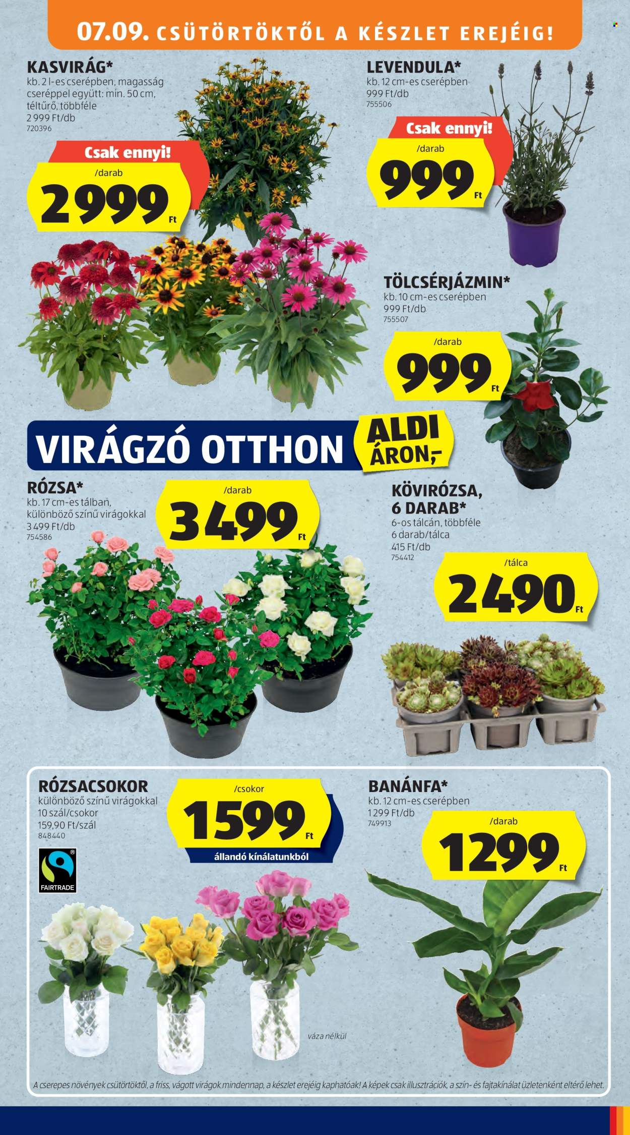 Aldi akciós újságok - 2026.07.09 - 2026.07.15. Oldal 45