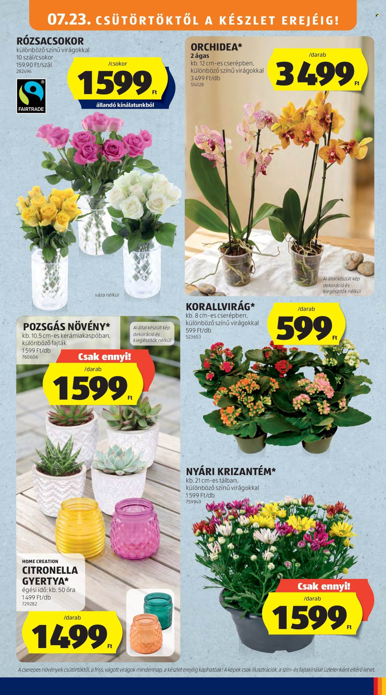 Aldi akciós újságok - 2026.07.23 - 2026.07.29. Oldal 45
