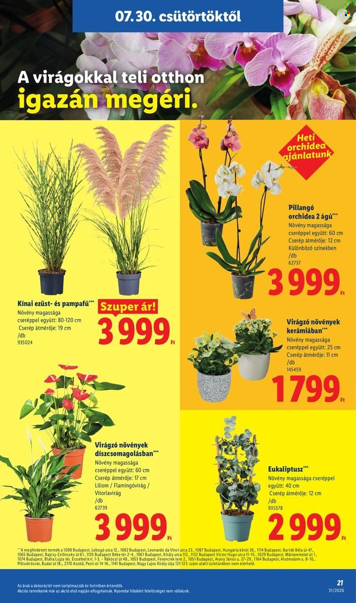 Lidl akciós újságok - 2026.07.30 - 2026.08.05. Oldal 21