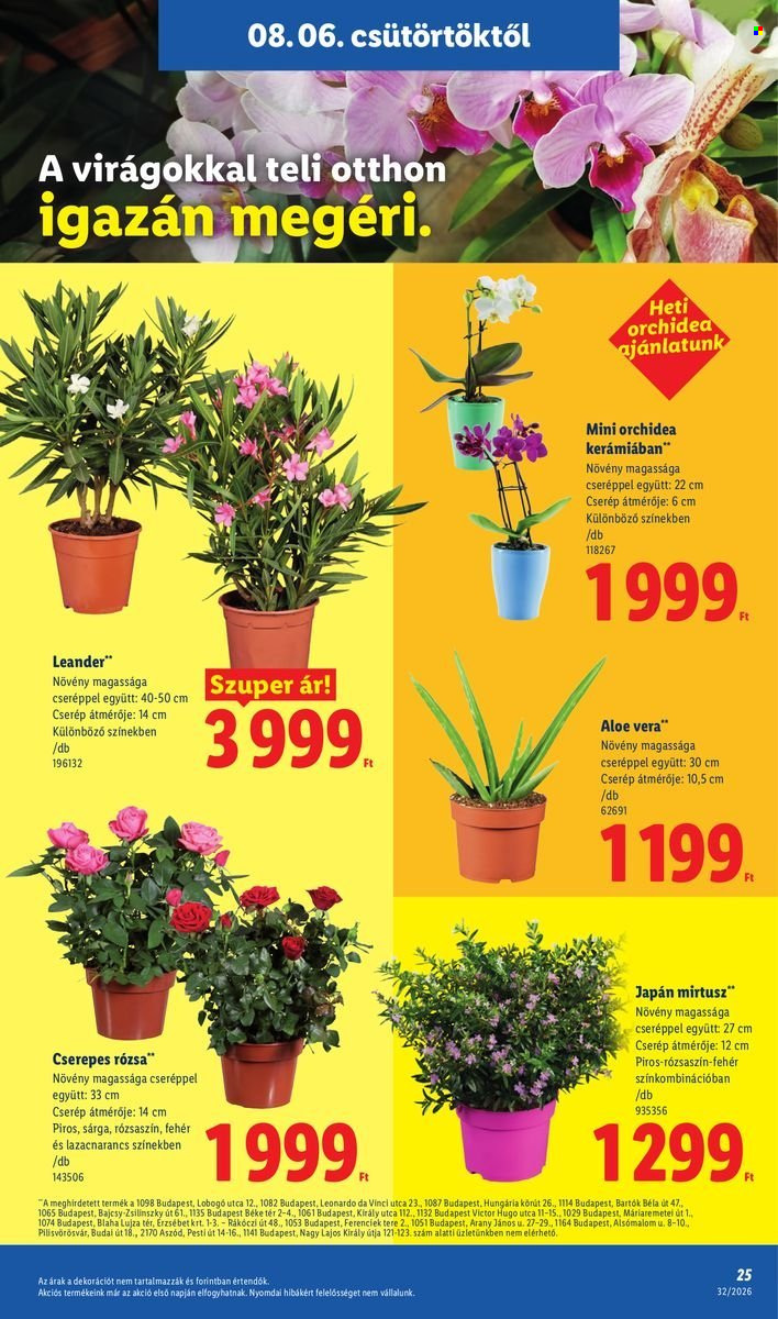 Lidl akciós újságok - 2026.08.06 - 2026.08.12. Oldal 25