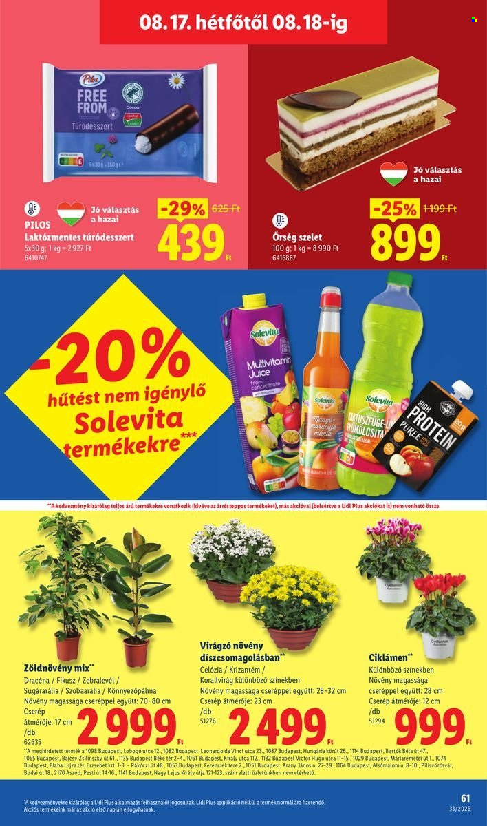 Lidl akciós újságok - 2026.08.13 - 2026.08.18. Oldal 61