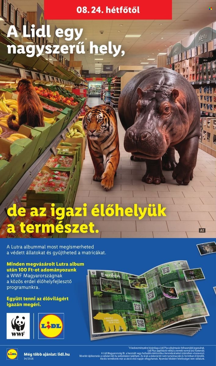 Lidl akciós újságok - 2026.08.19 - 2026.08.26. Oldal 52