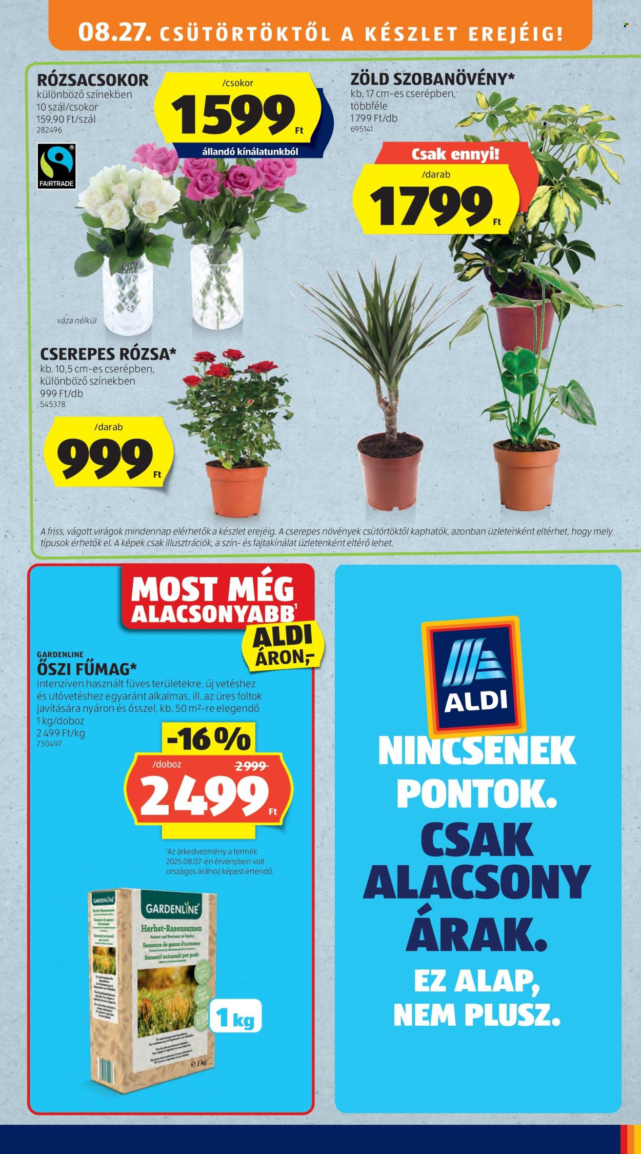 Aldi akciós újságok - 2026.08.27 - 2026.09.02. Oldal 3