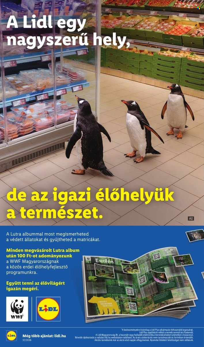 Lidl akciós újságok - 2026.09.10 - 2026.09.16. Oldal 2