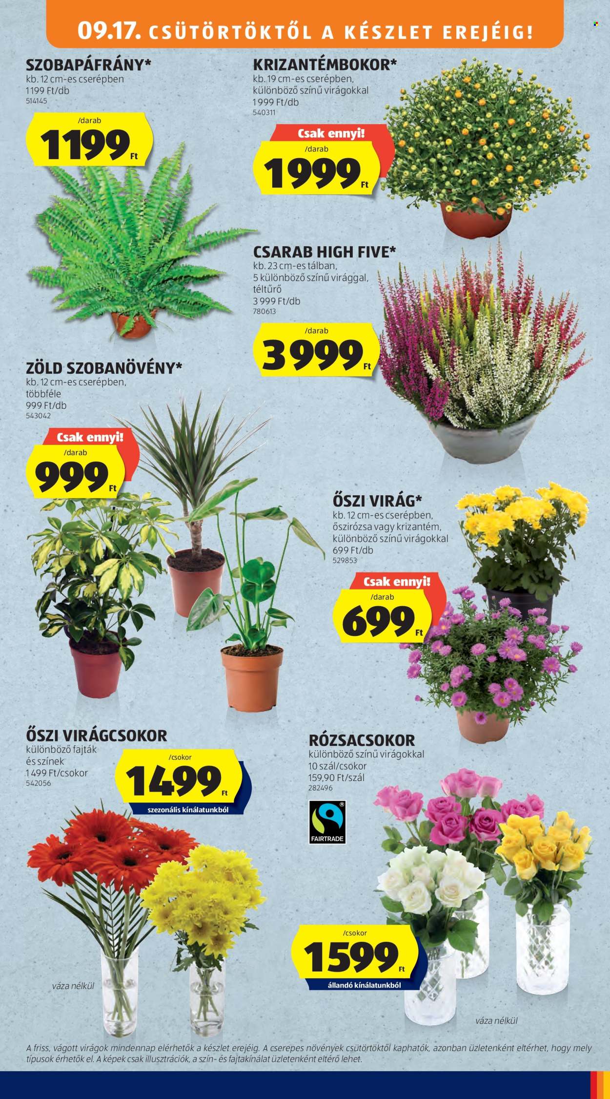 Aldi akciós újságok - 2026.09.17 - 2026.09.23. Oldal 7