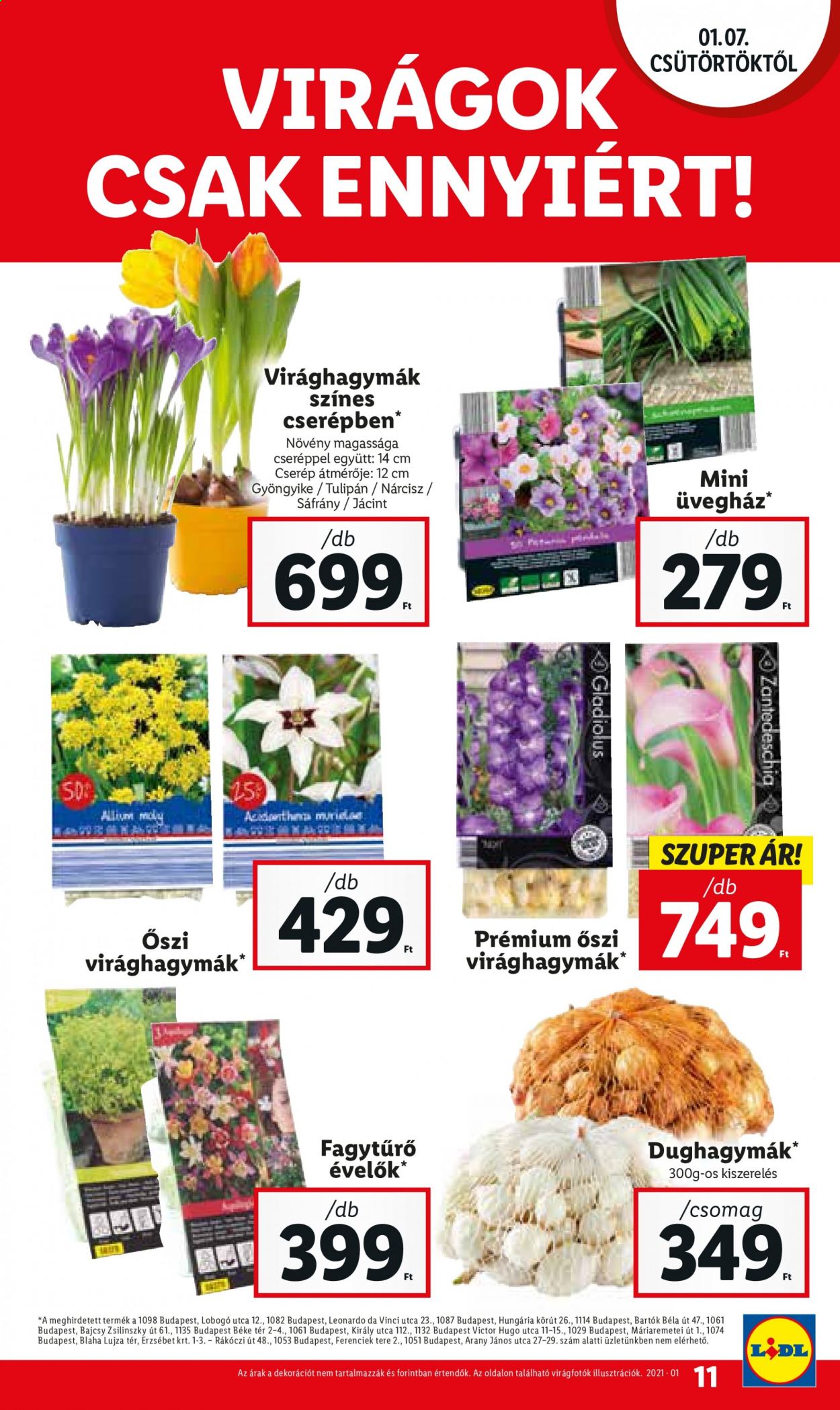 Lidl akciós újságok - 2021.01.07 - 2021.01.10. Oldal 11