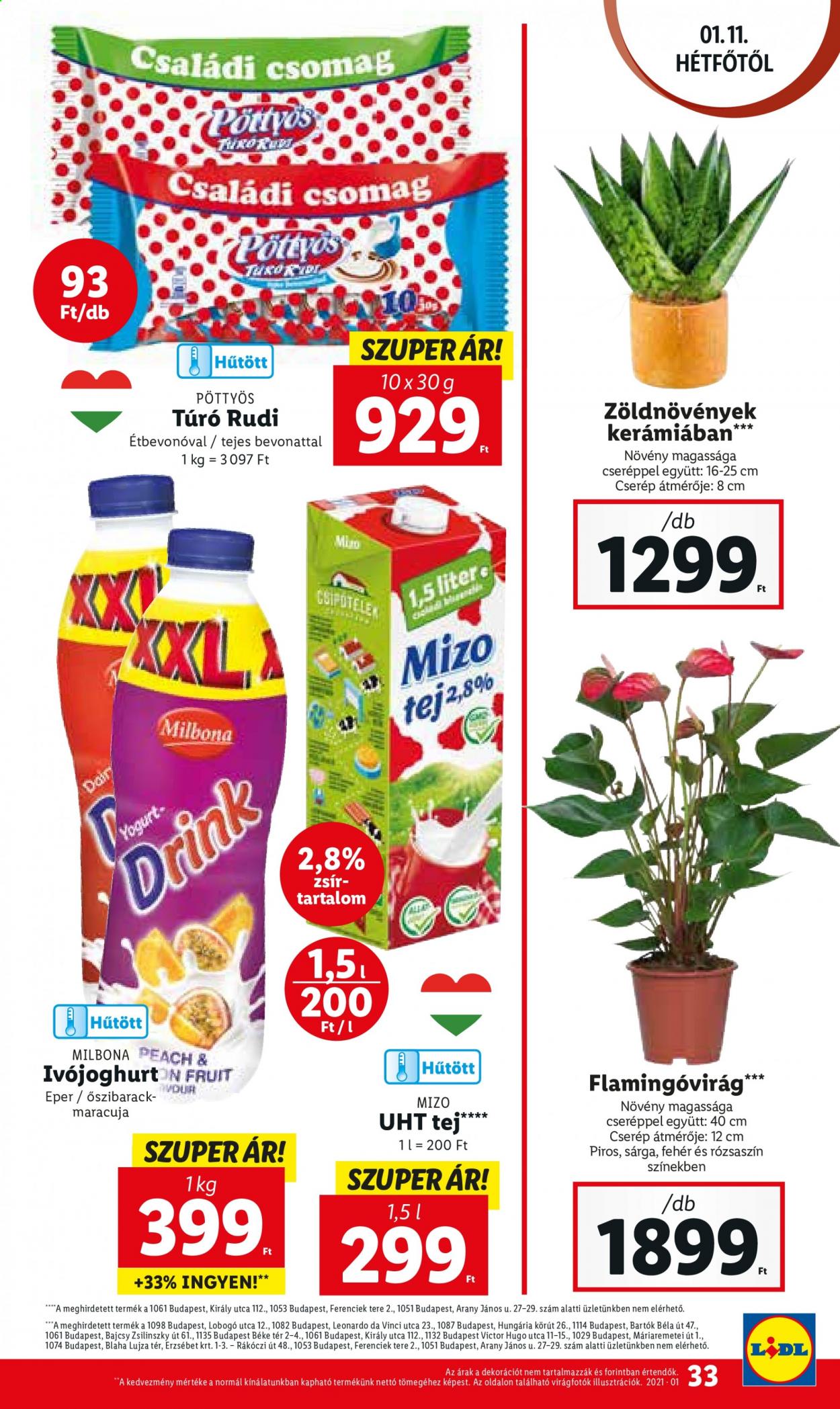 Lidl akciós újságok - 2021.01.07 - 2021.01.10. Oldal 33
