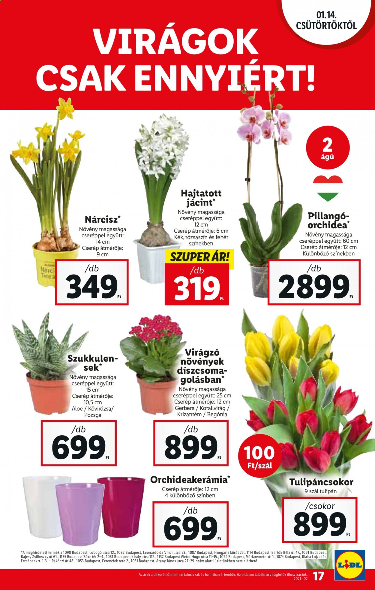 Lidl akciós újságok - 2021.01.14 - 2021.01.20. Oldal 17