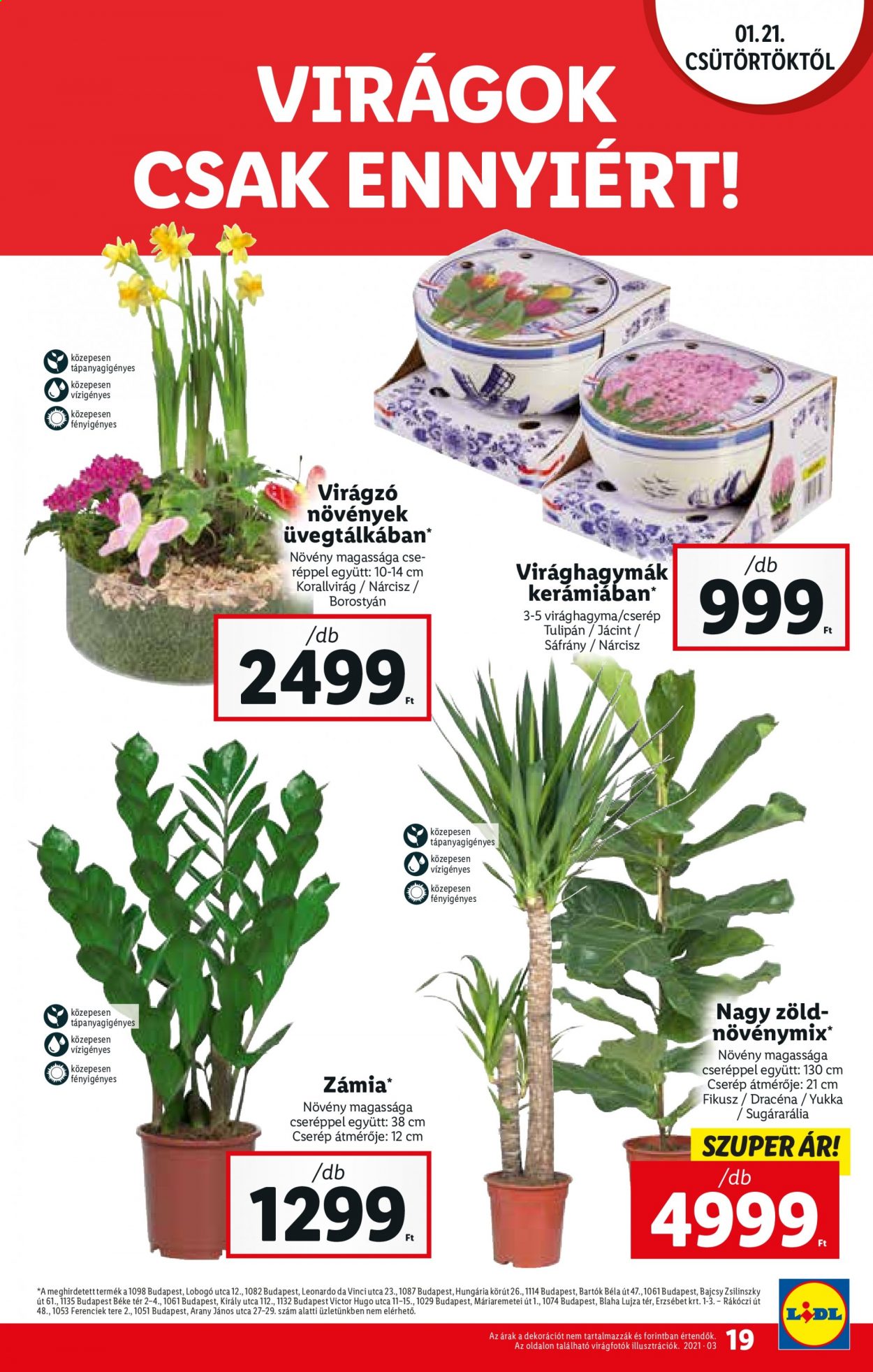 Lidl akciós újságok - 2021.01.21 - 2021.01.27. Oldal 19