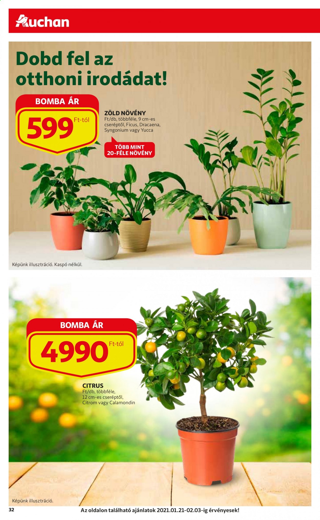 Auchan akciós újságok - 2021.01.21 - 2021.02.03. Oldal 32