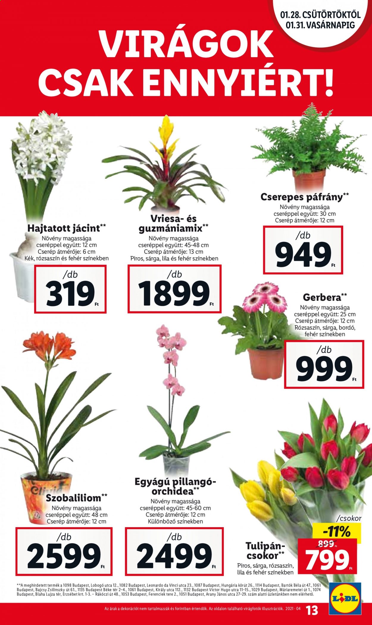 Lidl akciós újságok - 2021.01.28 - 2021.02.03. Oldal 13