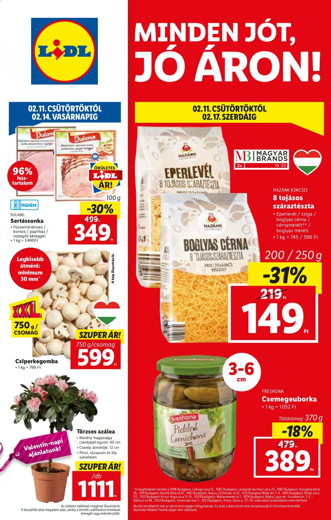Lidl akciós újságok - 2021.02.11 - 2021.02.17. Oldal 1
