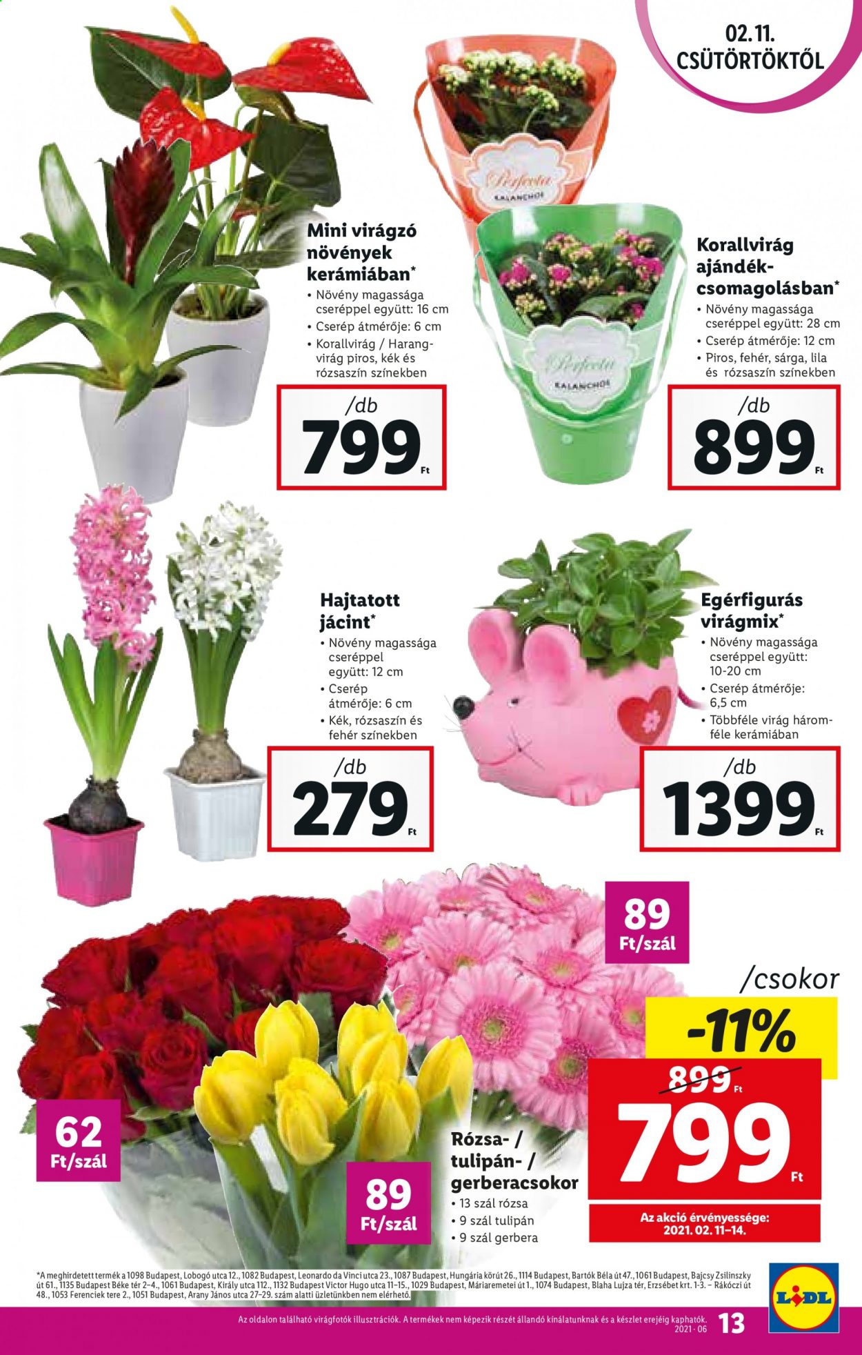 Lidl akciós újságok - 2021.02.11 - 2021.02.17. Oldal 13