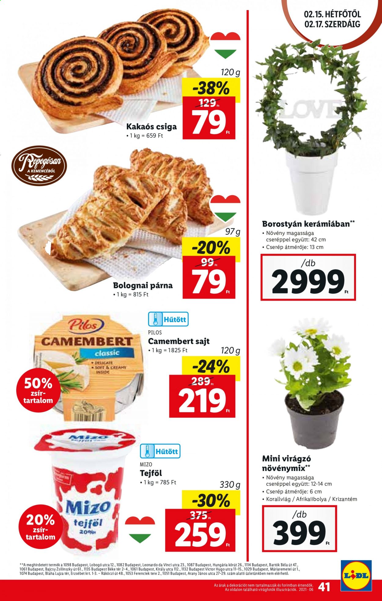 Lidl akciós újságok - 2021.02.11 - 2021.02.17. Oldal 41