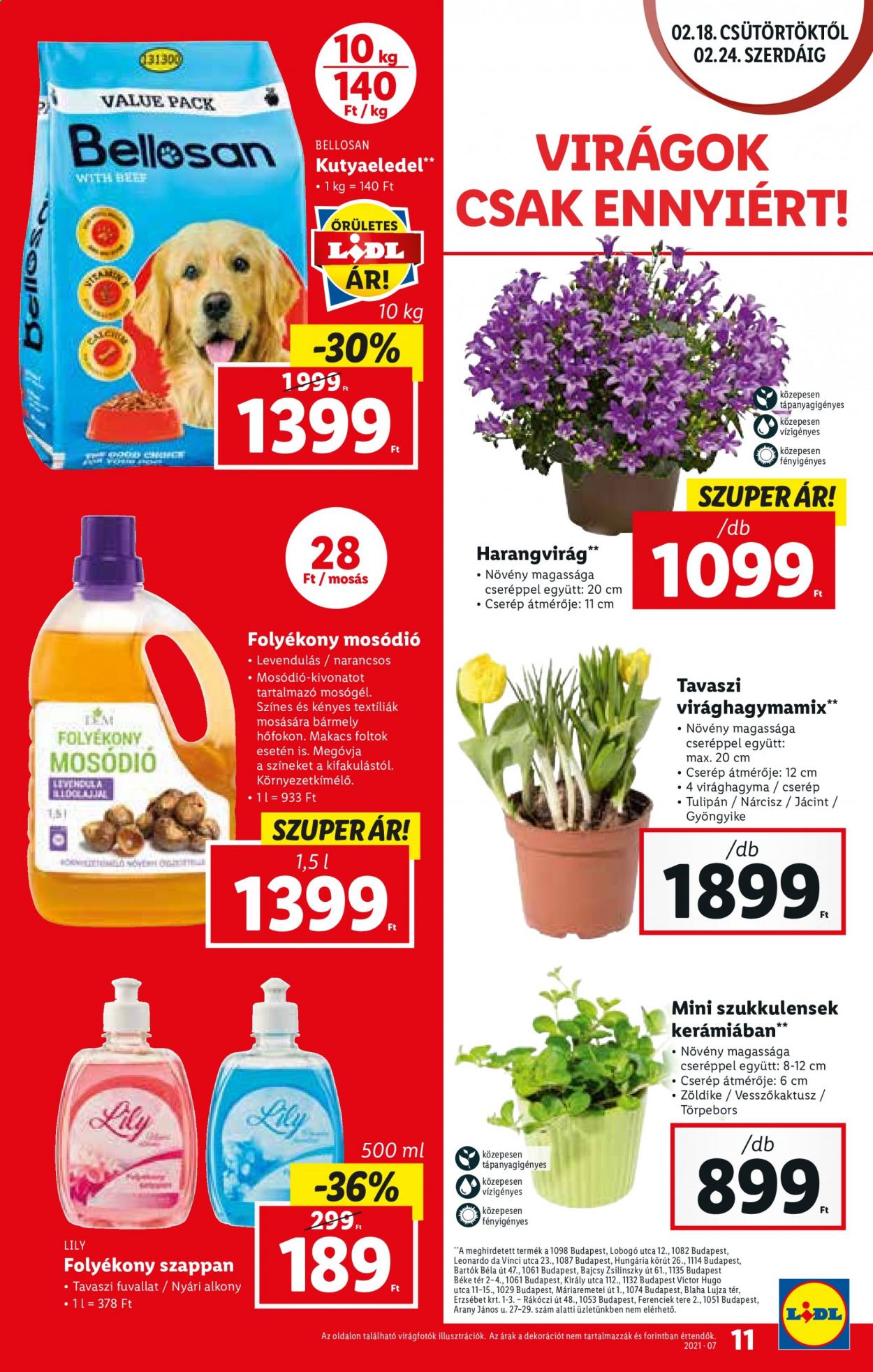 Lidl akciós újságok - 2021.02.18 - 2021.02.24. Oldal 11