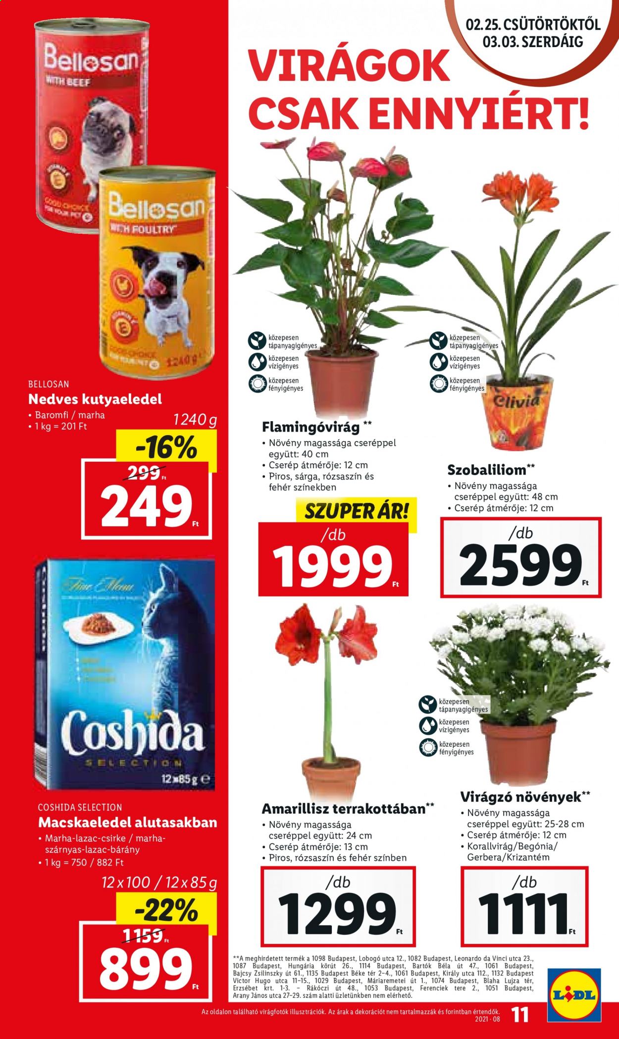 Lidl akciós újságok - 2021.02.25 - 2021.03.03. Oldal 11