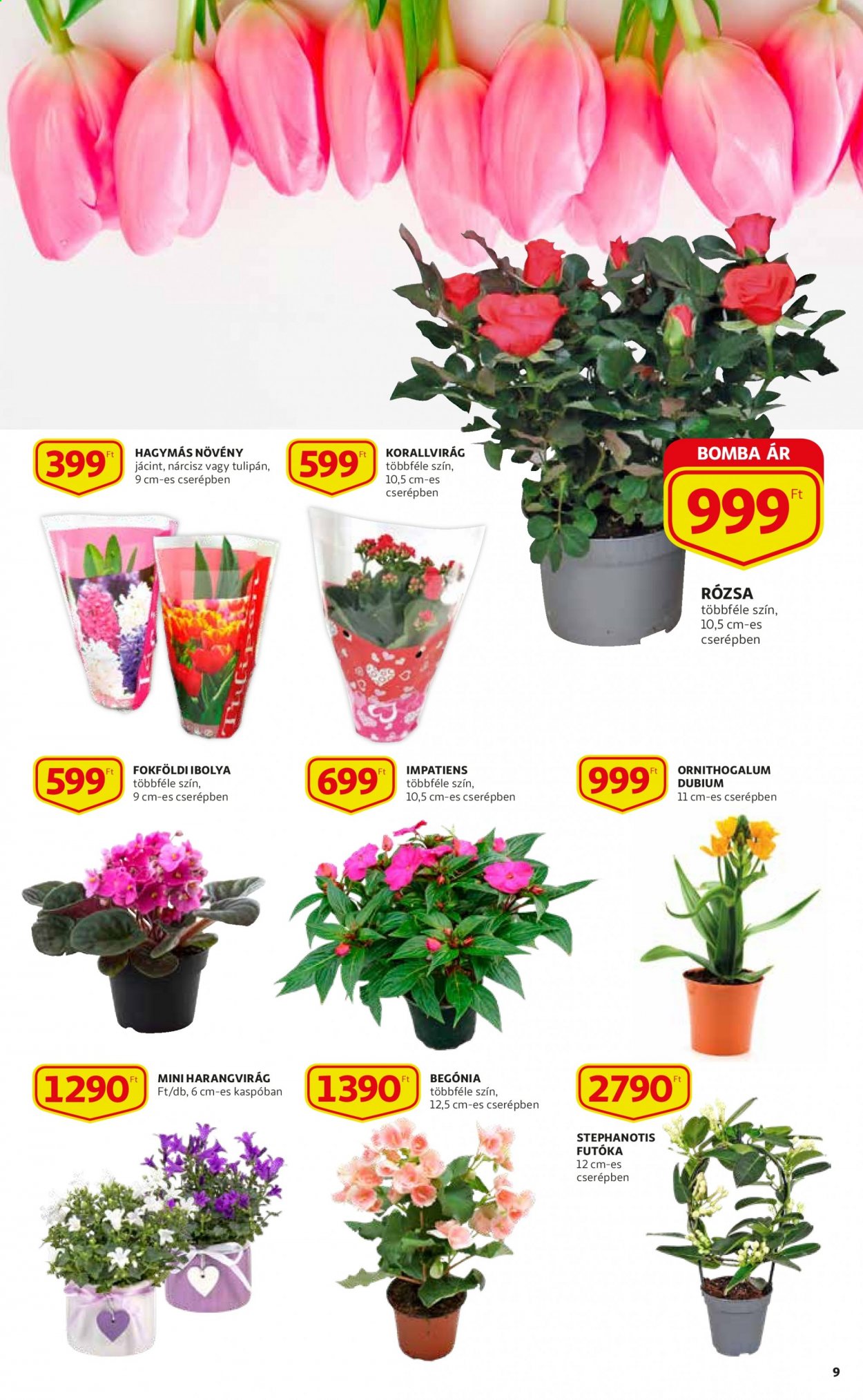 Auchan akciós újságok - 2021.03.04 - 2021.03.10. Oldal 9