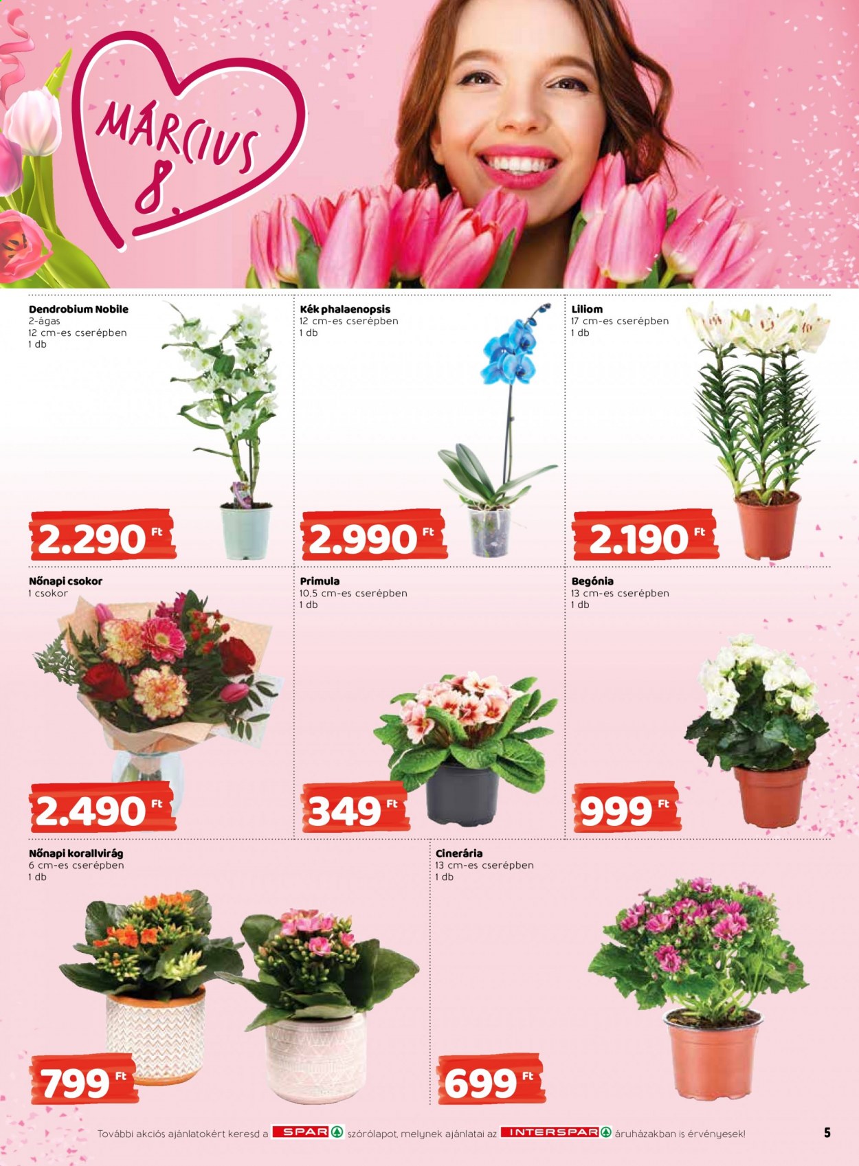 INTERSPAR akciós újságok - 2021.03.04 - 2021.03.10. Oldal 5