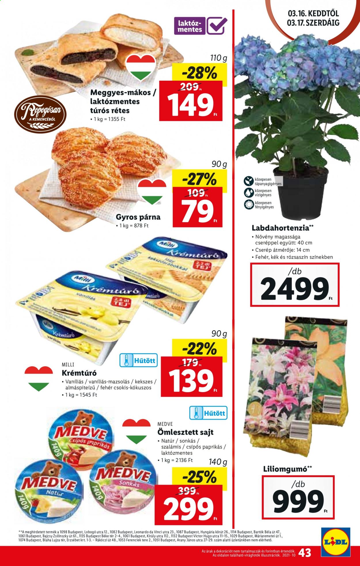 Lidl akciós újságok - 2021.03.11 - 2021.03.17. Oldal 43