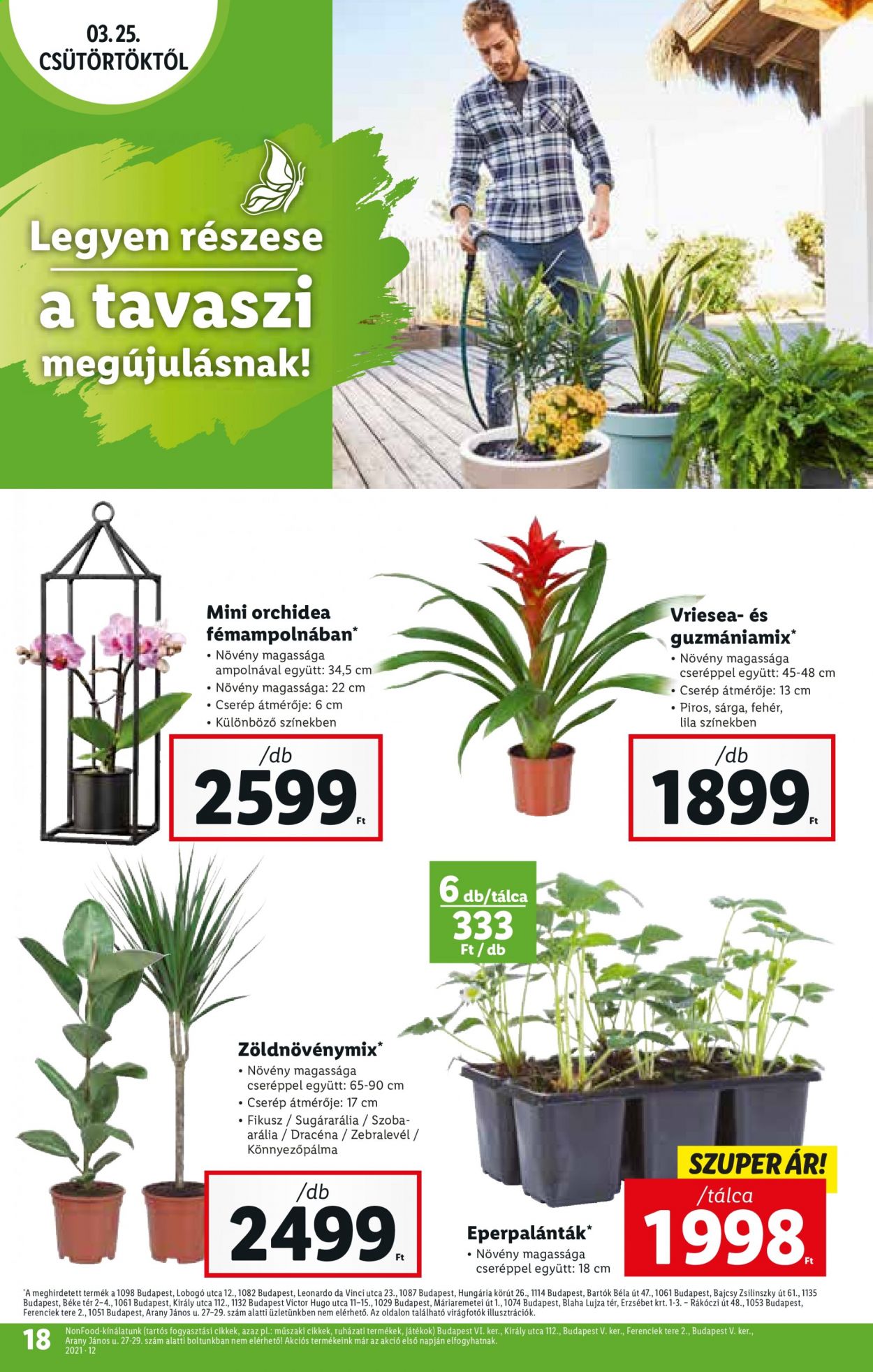 Lidl akciós újságok - 2021.03.25 - 2021.03.30. Oldal 18