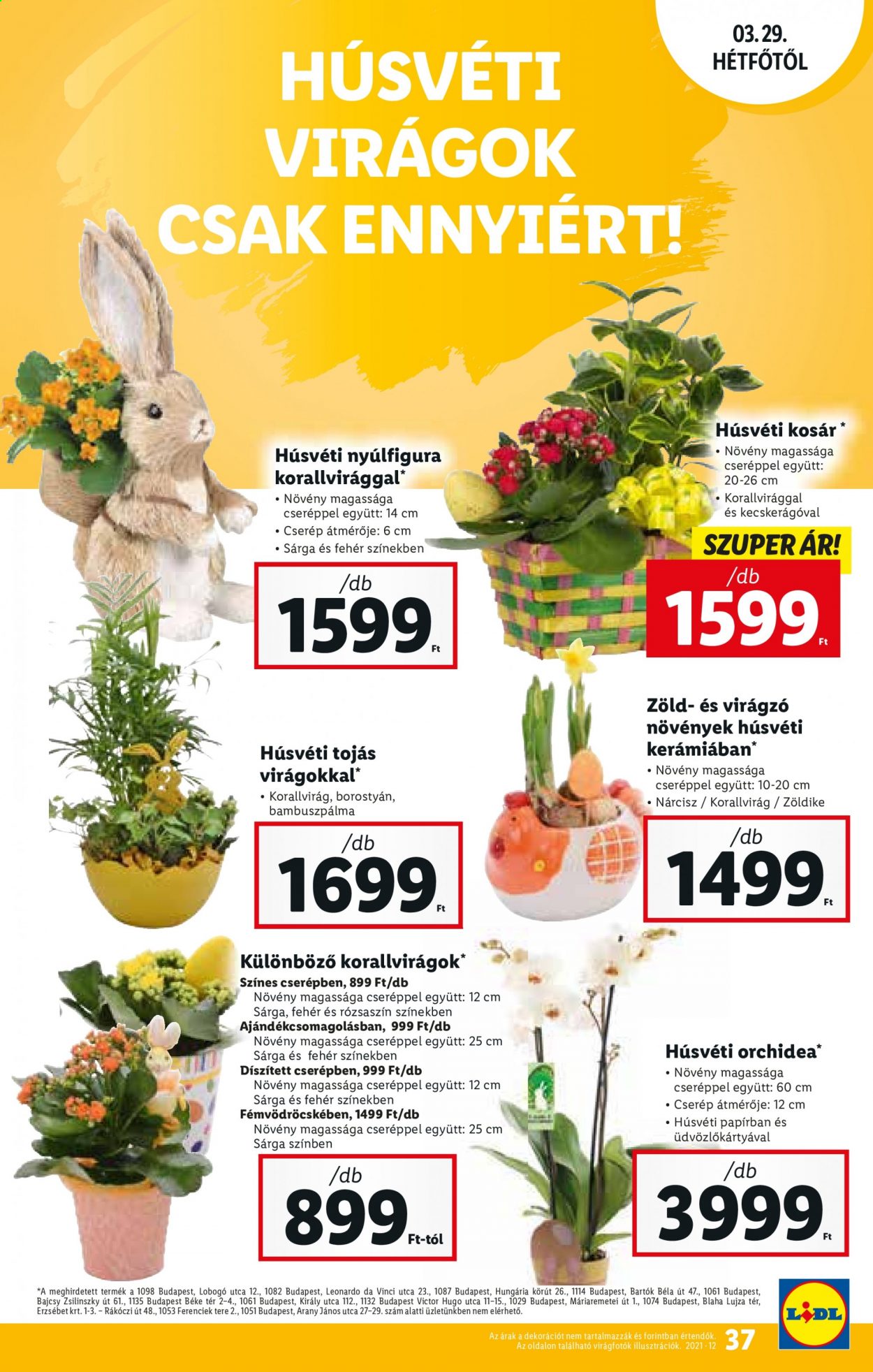 Lidl akciós újságok - 2021.03.25 - 2021.03.30. Oldal 37
