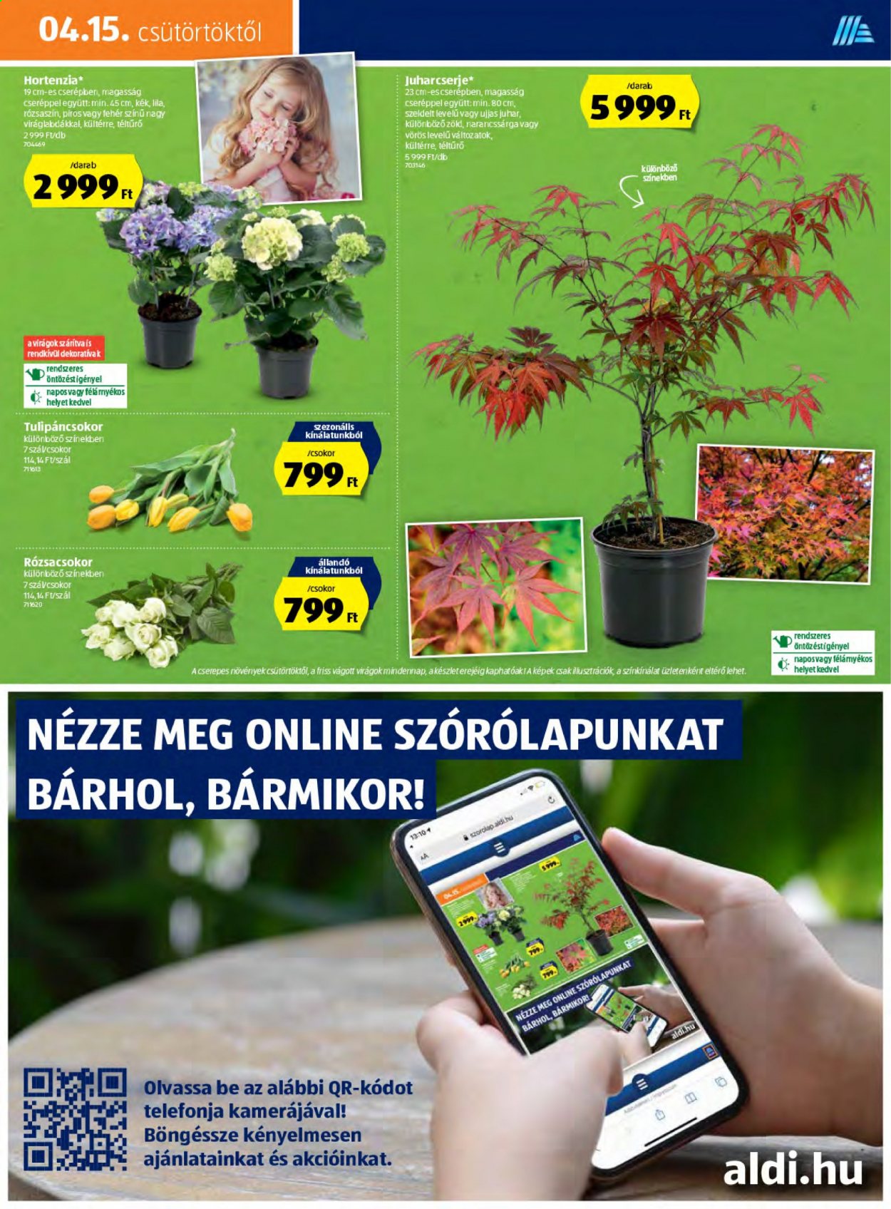 Aldi akciós újságok - 2021.04.15 - 2021.04.21. Oldal 13