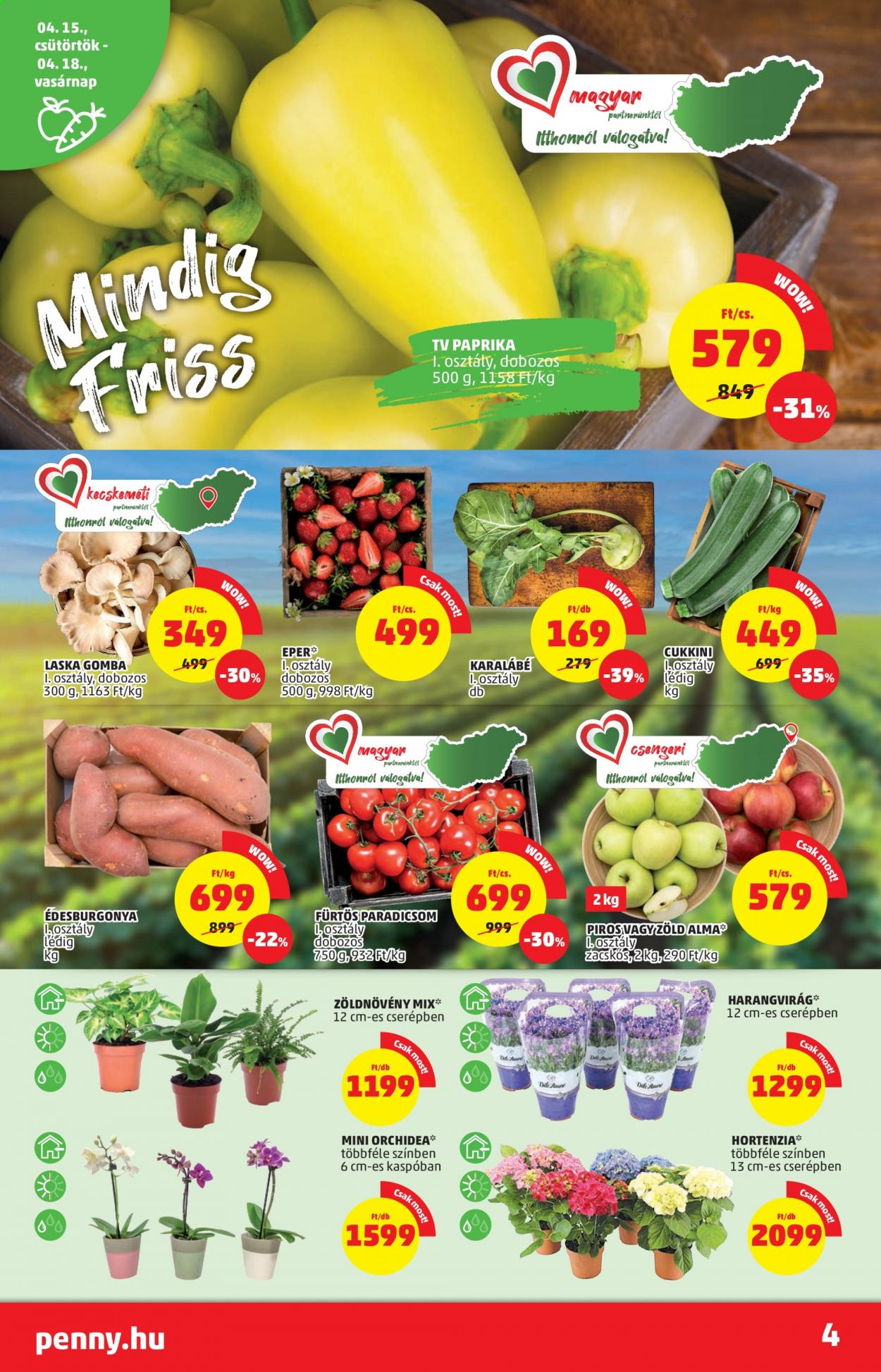 Penny Market akciós újságok - 2021.04.15 - 2021.04.21. Oldal 4