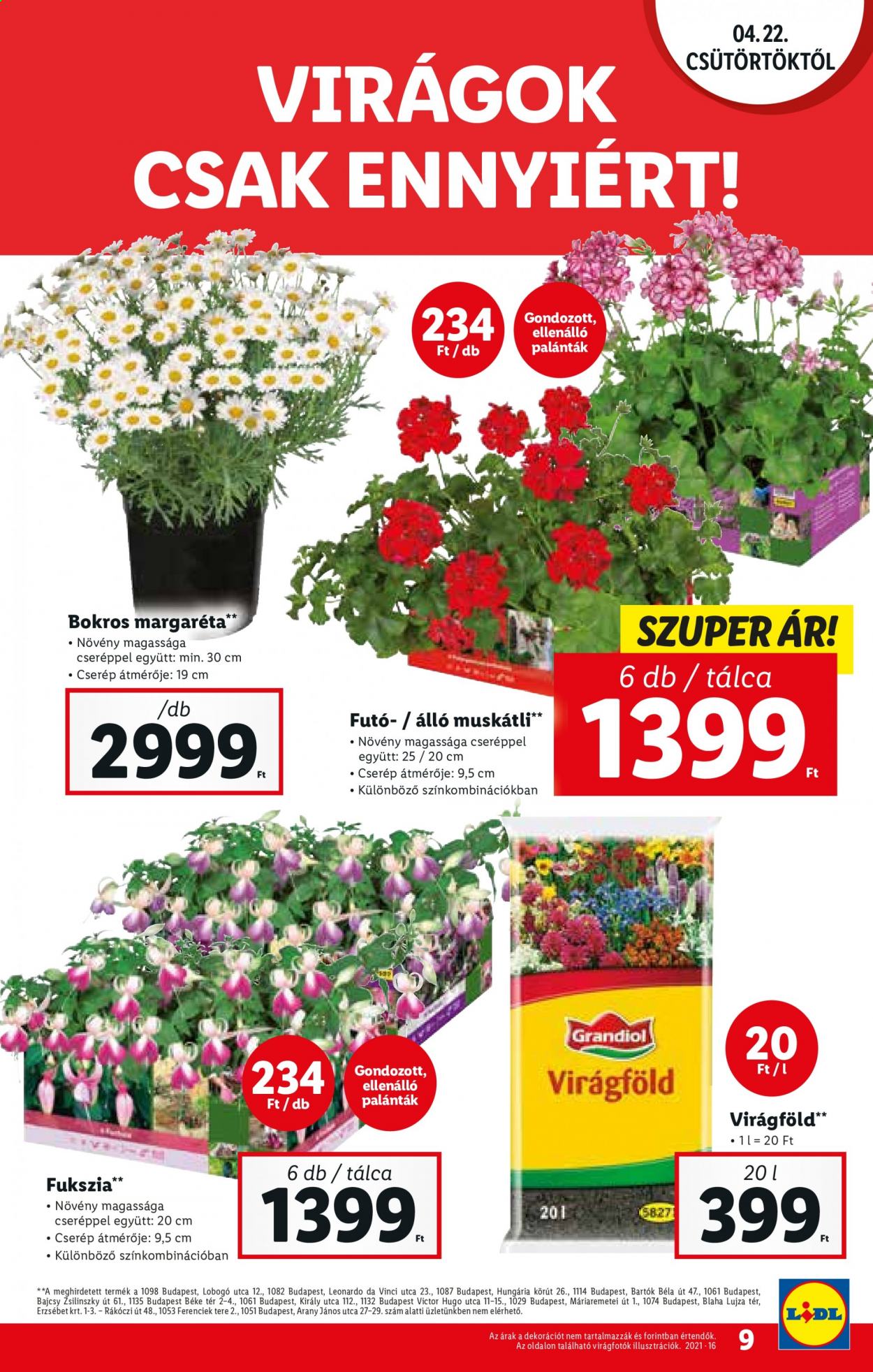 Lidl akciós újságok - 2021.04.22 - 2021.04.28. Oldal 9